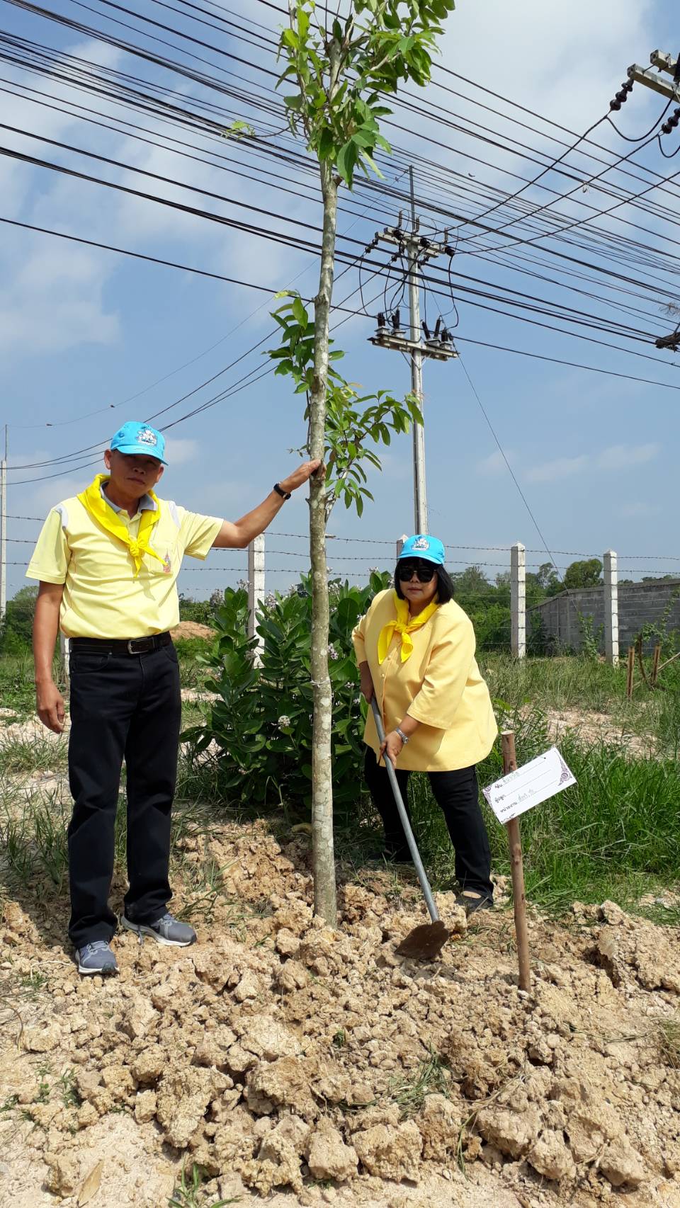@ชัยภูมิ#โครงการ 1 จังหวัด 1 ถนนเฉลิมพระเกียรติ จังหวัดชัยภูมิ