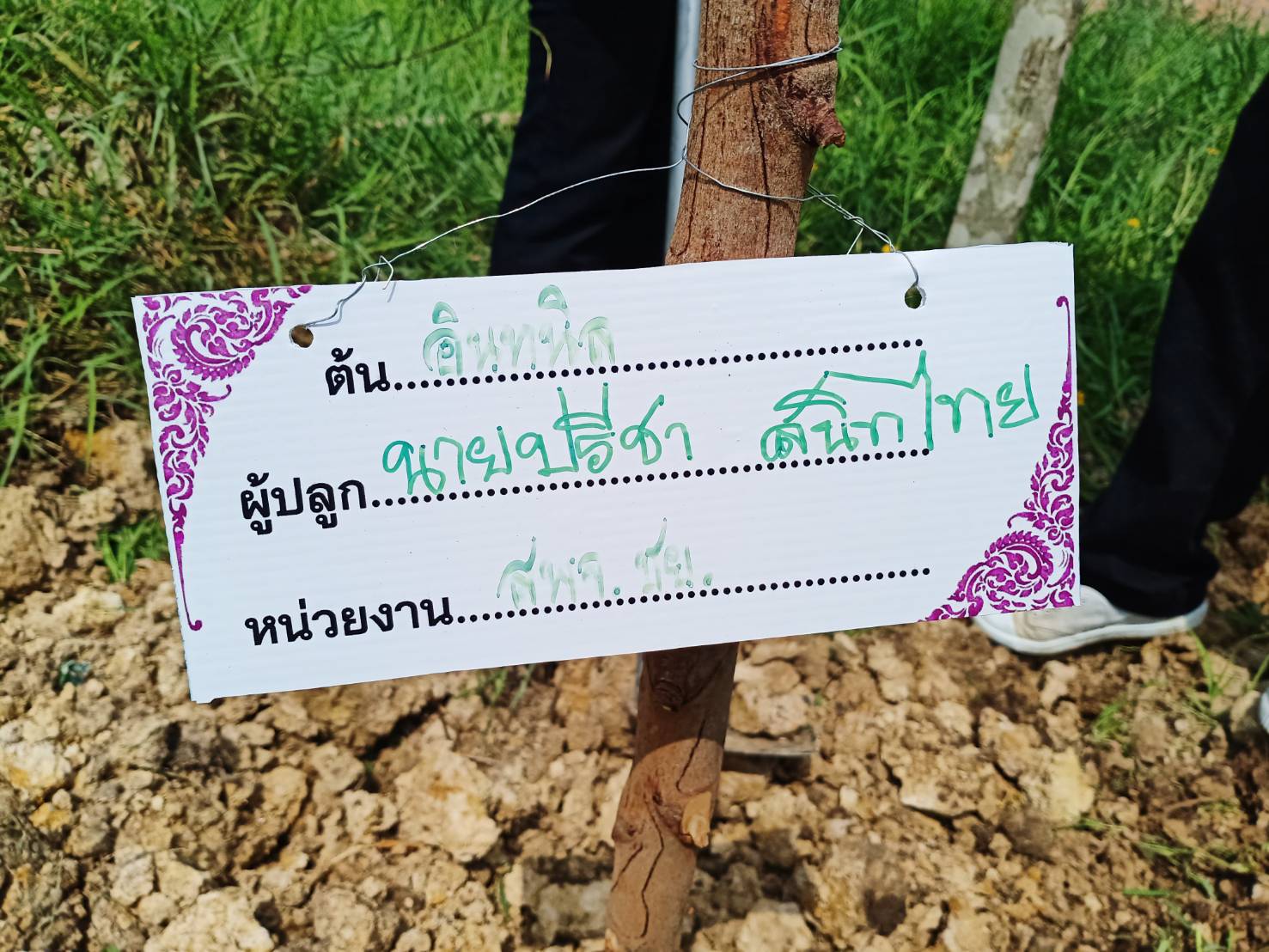 @ชัยภูมิ#โครงการ 1 จังหวัด 1 ถนนเฉลิมพระเกียรติ จังหวัดชัยภูมิ