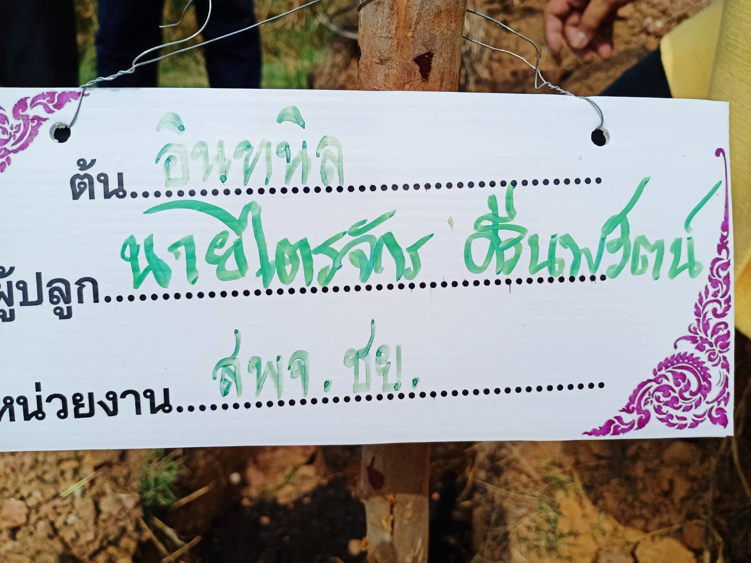 @ชัยภูมิ#โครงการ 1 จังหวัด 1 ถนนเฉลิมพระเกียรติ จังหวัดชัยภูมิ