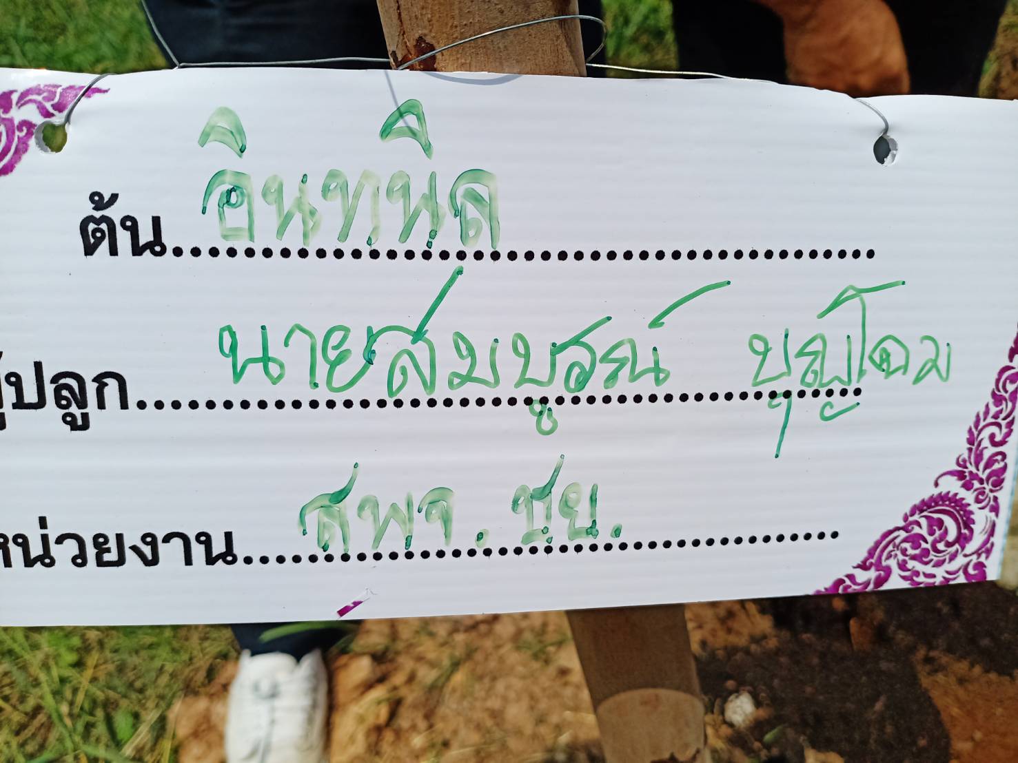 @ชัยภูมิ#โครงการ 1 จังหวัด 1 ถนนเฉลิมพระเกียรติ จังหวัดชัยภูมิ