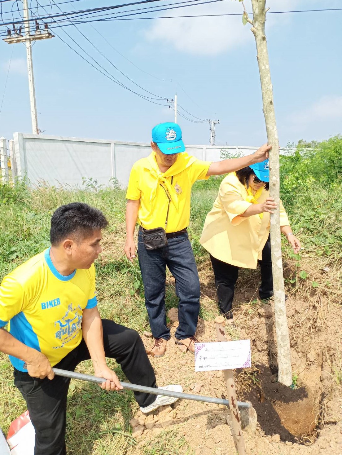 @ชัยภูมิ#โครงการ 1 จังหวัด 1 ถนนเฉลิมพระเกียรติ จังหวัดชัยภูมิ