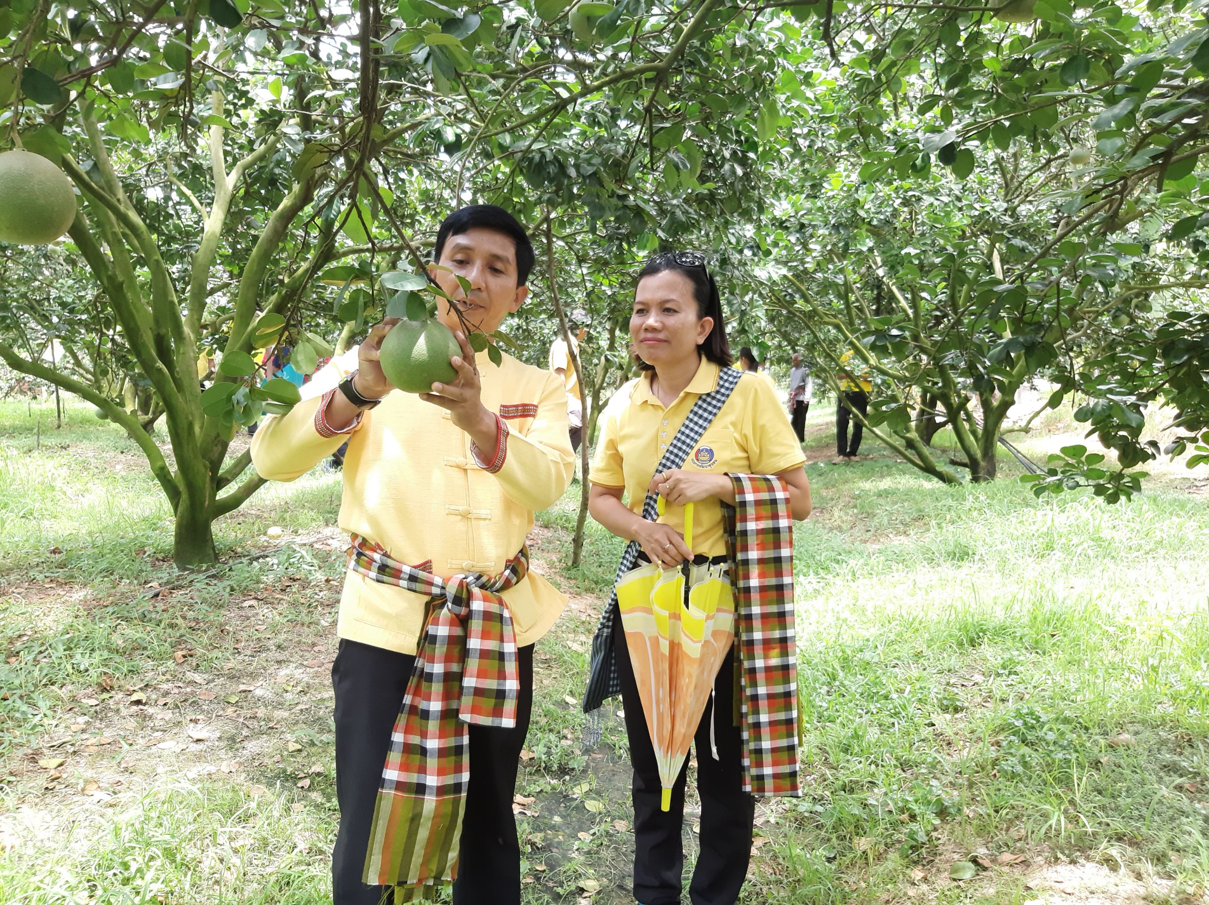@ชัยภูมิ #คัดสรรหมู่บ้านเศรษฐกิจพอเพียงฯ ดีเด่นระดับจังหวัด ประจำปี 2562 บ้านหนองผักหลอด ม.9 ต.บ้านแท่น