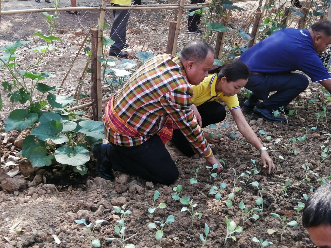 นายณรงค์ วุ่นซิ้ว ผู้ว่าราชการจังหวัดชัยภูมิเปิดโครงการบ้านนี้มีรัก ปลูกผักกินเองกลุ่มโซน”ลุ่มน้ำสี่สาย”
