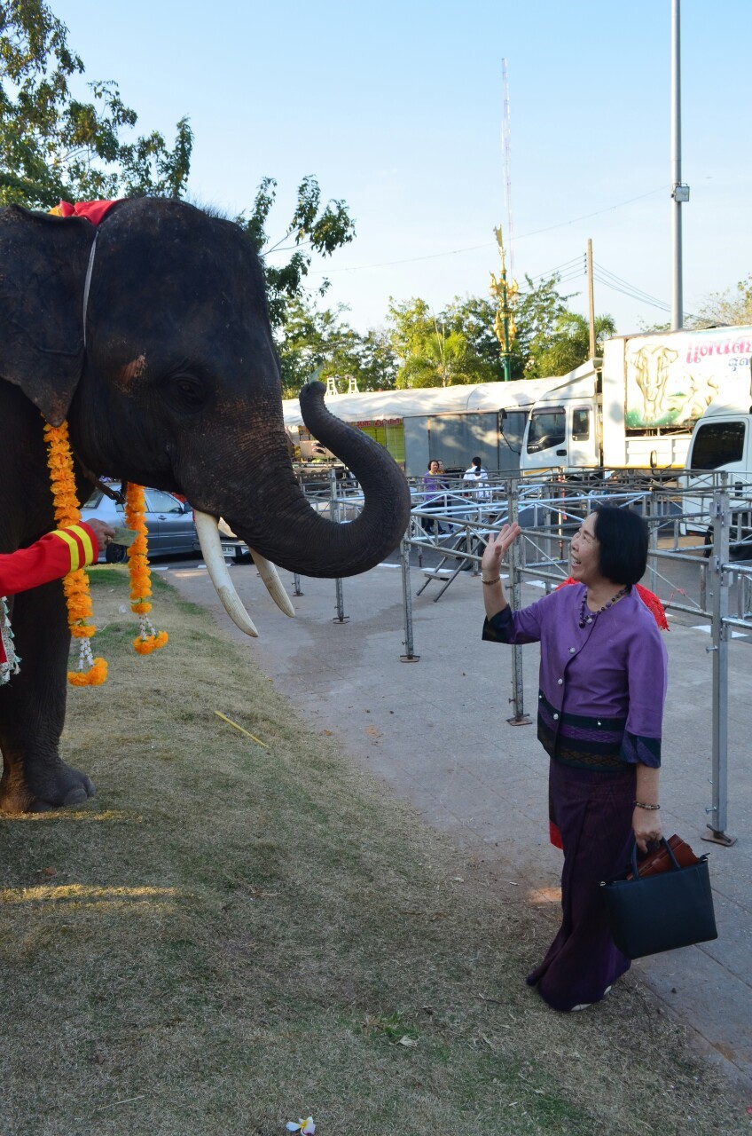 พช.ชัยภูมิ ร่วมสืบสานพลังศรัทธางานเจ้าพ่อพญาแล ปี2563