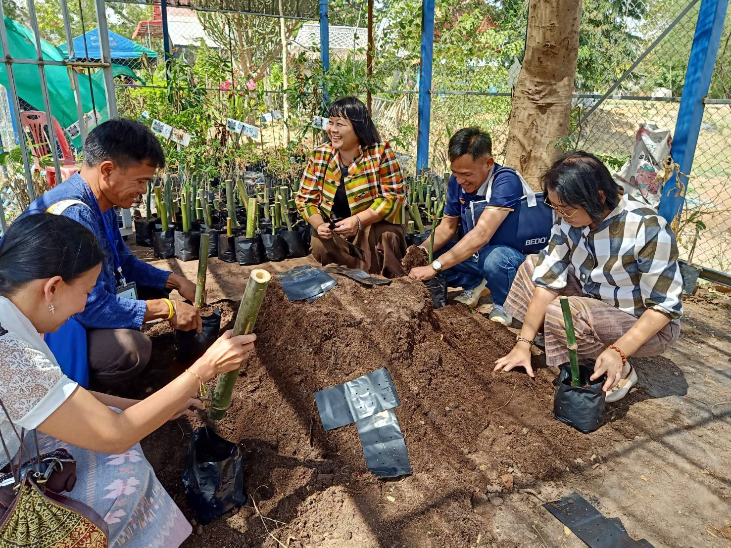 พช.ชัยภูมิจัดกิจกรรม “เอามื้อสามัคคี เพาะกิ่งไผ่ตามโครงการปลูกไผ่มงคลล้านต้นหน้าฝนนี้”