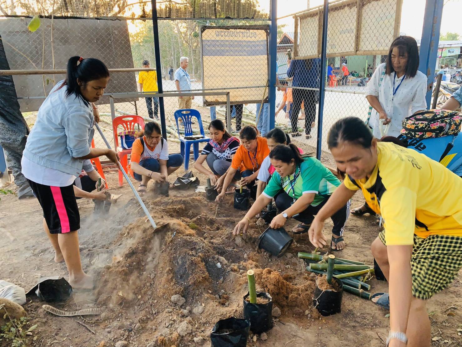 พช.ชัยภูมิจัดกิจกรรม “เอามื้อสามัคคี เพาะกิ่งไผ่ตามโครงการปลูกไผ่มงคลล้านต้นหน้าฝนนี้”