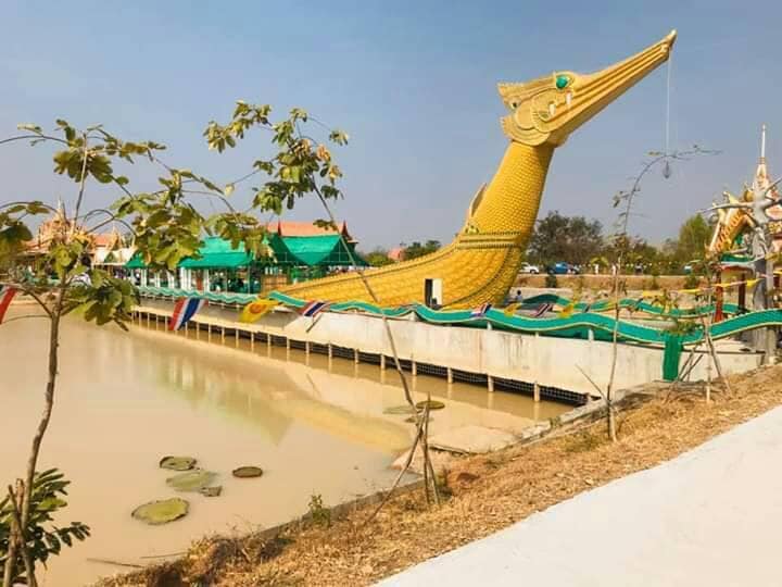 พช.ชัยภูมิ ร่วมกิจกรรมรับมอบเมล็ดพันธุ์ไผ่มงคลโครงการ “ปลูกไผ่มงคลล้านต้นหน้าฝนนี้”