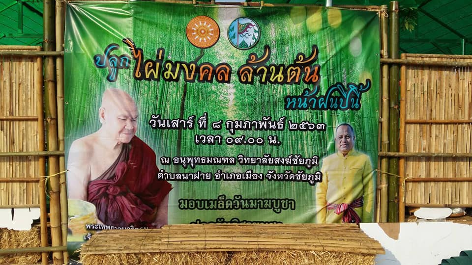 พช.ชัยภูมิ ร่วมกิจกรรมรับมอบเมล็ดพันธุ์ไผ่มงคลโครงการ “ปลูกไผ่มงคลล้านต้นหน้าฝนนี้”