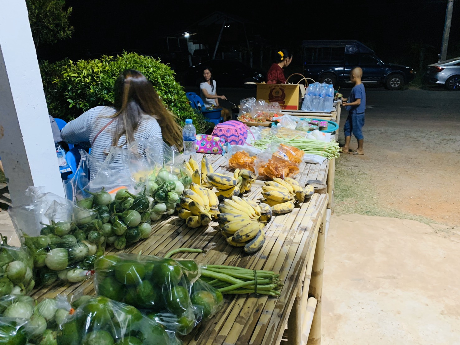 พช.ชัยภูมิจัดโครงการ “อบรมแกนนำหมู่บ้านเศรษฐกิจพอเพียง” รุ่นที่2/2563