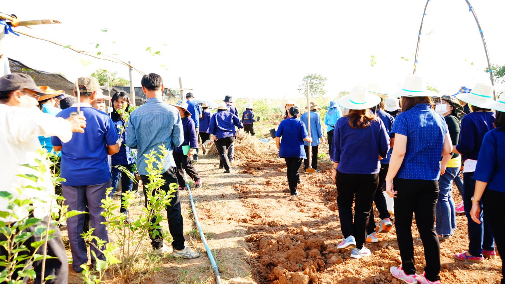 พช.ชัยภูมิ จัดกิจกรรมน้อมนำศาสตร์พระราชาสู่การปฏิบัติ เนื่องในสัปดาห์การพัฒนา ประจำปี 2563