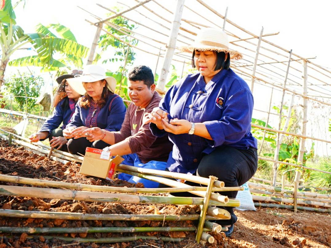 พช.ชัยภูมิ จัดกิจกรรมน้อมนำศาสตร์พระราชาสู่การปฏิบัติ เนื่องในสัปดาห์การพัฒนา ประจำปี 2563