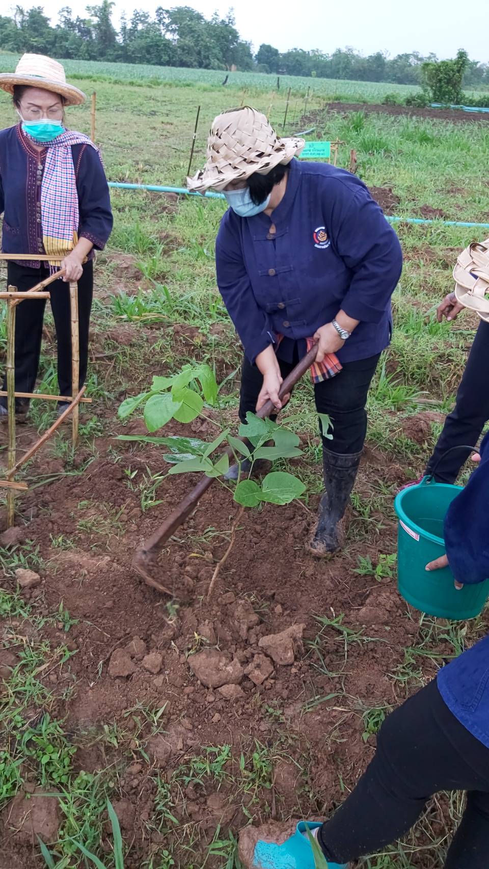 พช.ชัยภูมิ ร่วมกิจกรรม ” นาโบราณประยุกต์ “