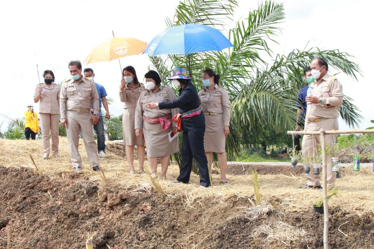 @ชัยภูมิ_เมืองแห่งความสุข นางวิไลวรรณ ไกรโสดา รองอธิบดีกรมการพัฒนาชุมชน ลงพื้นที่จังหวัดชัยภูมิ ขับเคลื่อนการดำเนินงานนักพัฒนาพื้นที่ต้นแบบ (นพต.) เพื่อหนุนเสริมนักพัฒนาพื้นที่ต้นแบบ รู้จริงทำจริง ปลูกฝังอุดมการณ์งานพัฒนา ผนึกกำลังพลิกฟื้นวิถีชีวิตเกษตรกรสู่ความยั่งยืน