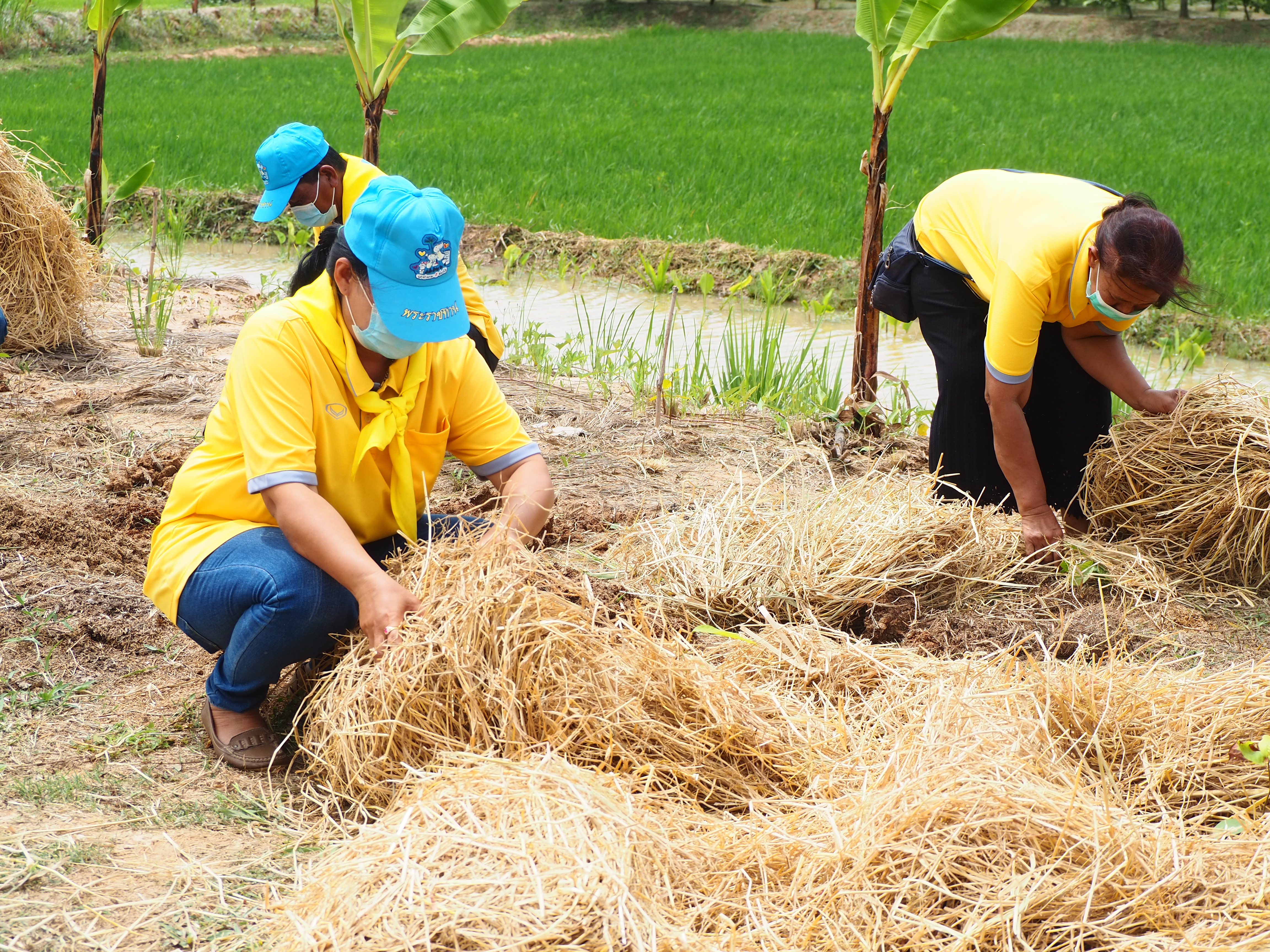 พช.ชัยภูมิ รวมพลังขับเคลื่อนกิจกรรม “จิตอาสาพัฒนาชุมชน” เฉลิมพระเกียรติเนื่องในโอกาสมหามงคลเฉลิมพระชนมพรรษาพระบาทสมเด็จพระปรเมนทรรามาธิบดีศรีสินทร มหาวชิราลงกรณ พระวชิรเกล้า เจ้าอยู่หัว