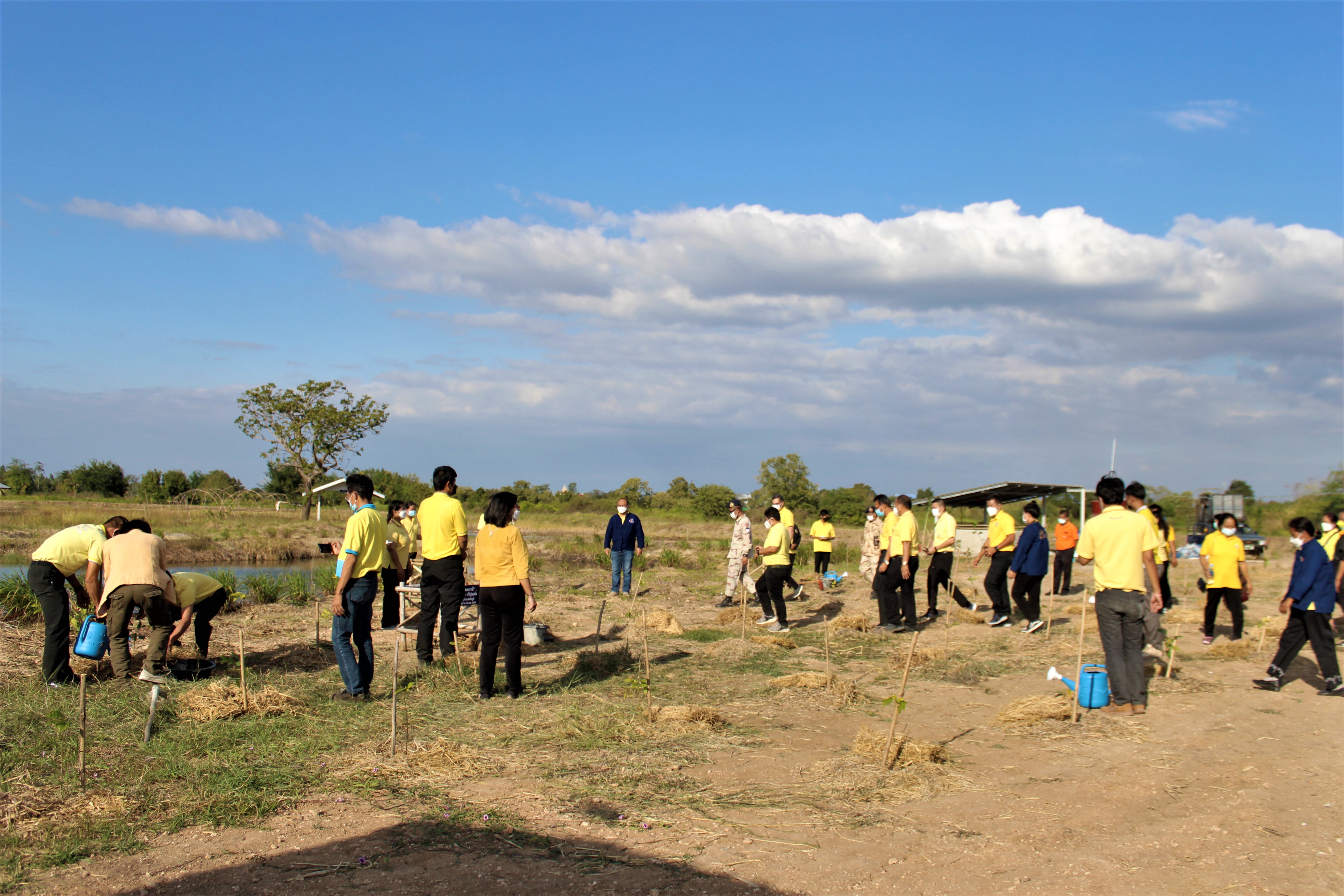 #พช_ชัยภูมิ รวมพลังจัดกิจกรรม “วันดินโลก” (World Soil Day) ปี 2564
