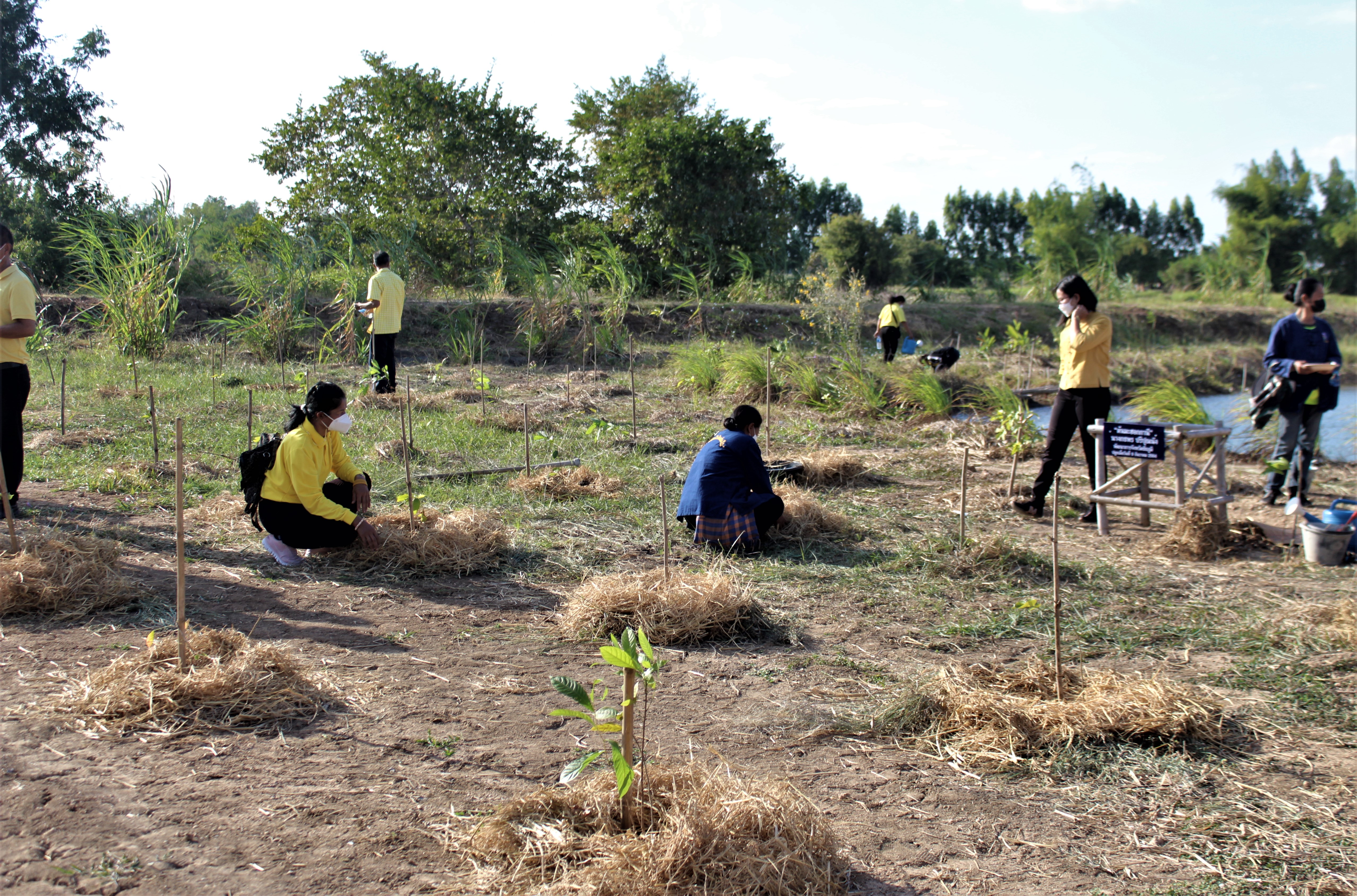 #พช_ชัยภูมิ รวมพลังจัดกิจกรรม “วันดินโลก” (World Soil Day) ปี 2564