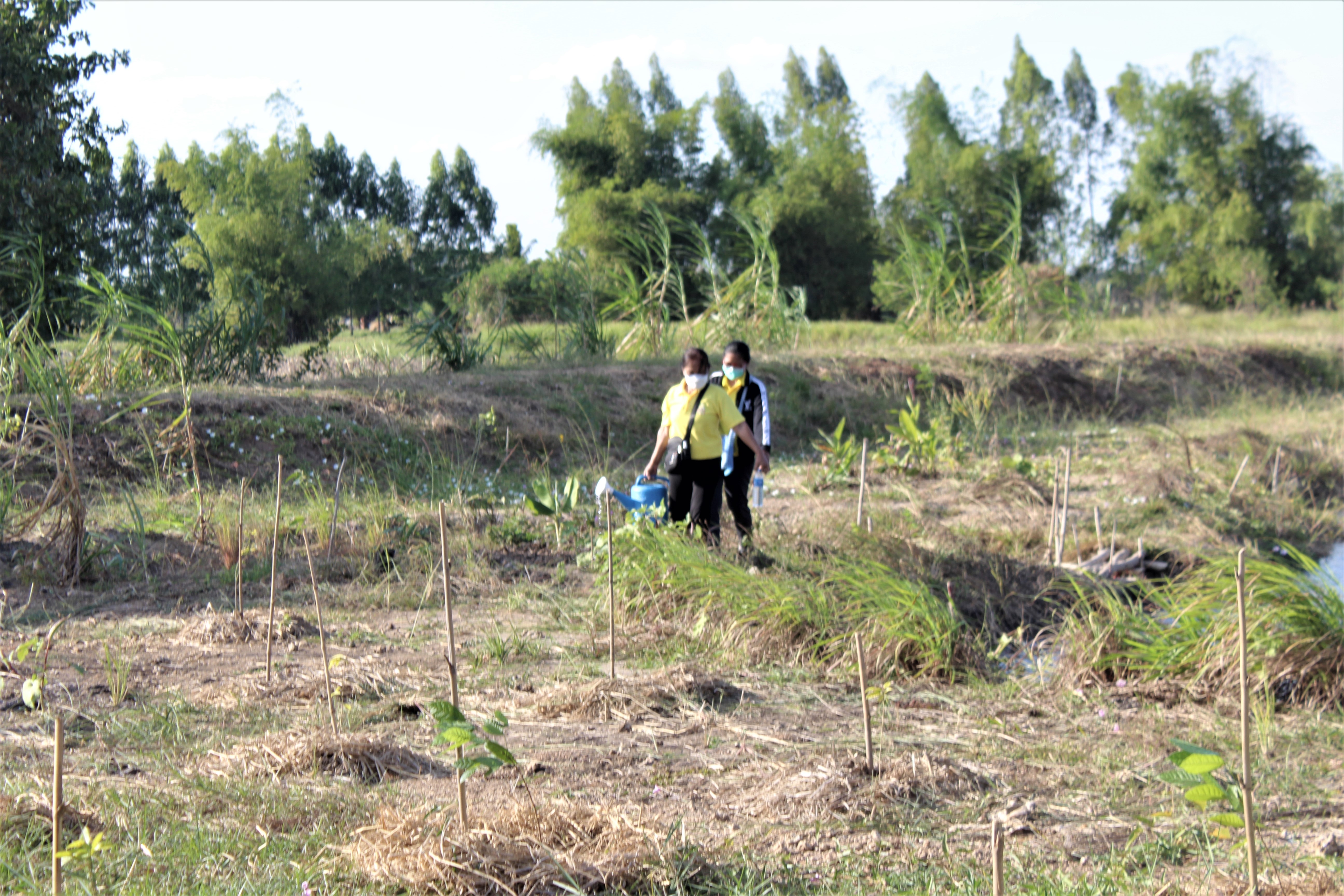 #พช_ชัยภูมิ รวมพลังจัดกิจกรรม “วันดินโลก” (World Soil Day) ปี 2564