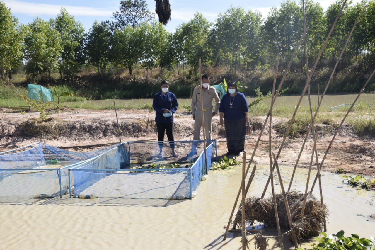 #พช_ชัยภูมิ รับการตรวจติดตามการดำเนินงานตามแผนปฏิบัติราชการและแผนการใช้จ่ายงบประมาณกรมการพัฒนาชุมชน ประจำปีงบประมาณ พ.ศ. 2565