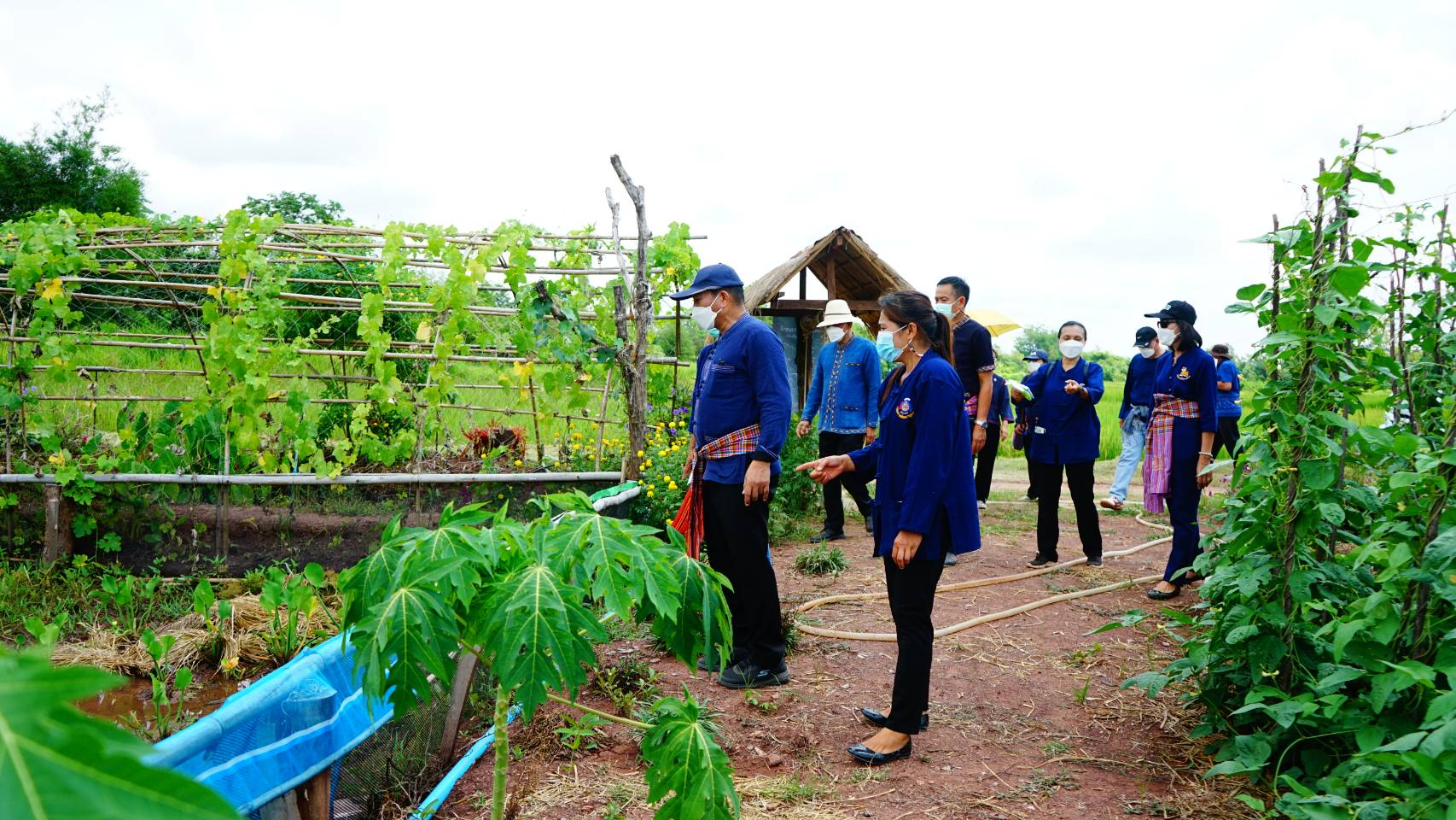 นายนิวัติ น้อยผาง รองอธิบดีกรมการพัฒนาชุมชน ลงพื้นที่อำเภอเกษตรสมบูรณ์ จังหวัดชัยภูมิ เยี่ยมพื้นที่แปลงครัวเรือนต้นแบบ โคก หนอง นา พช.