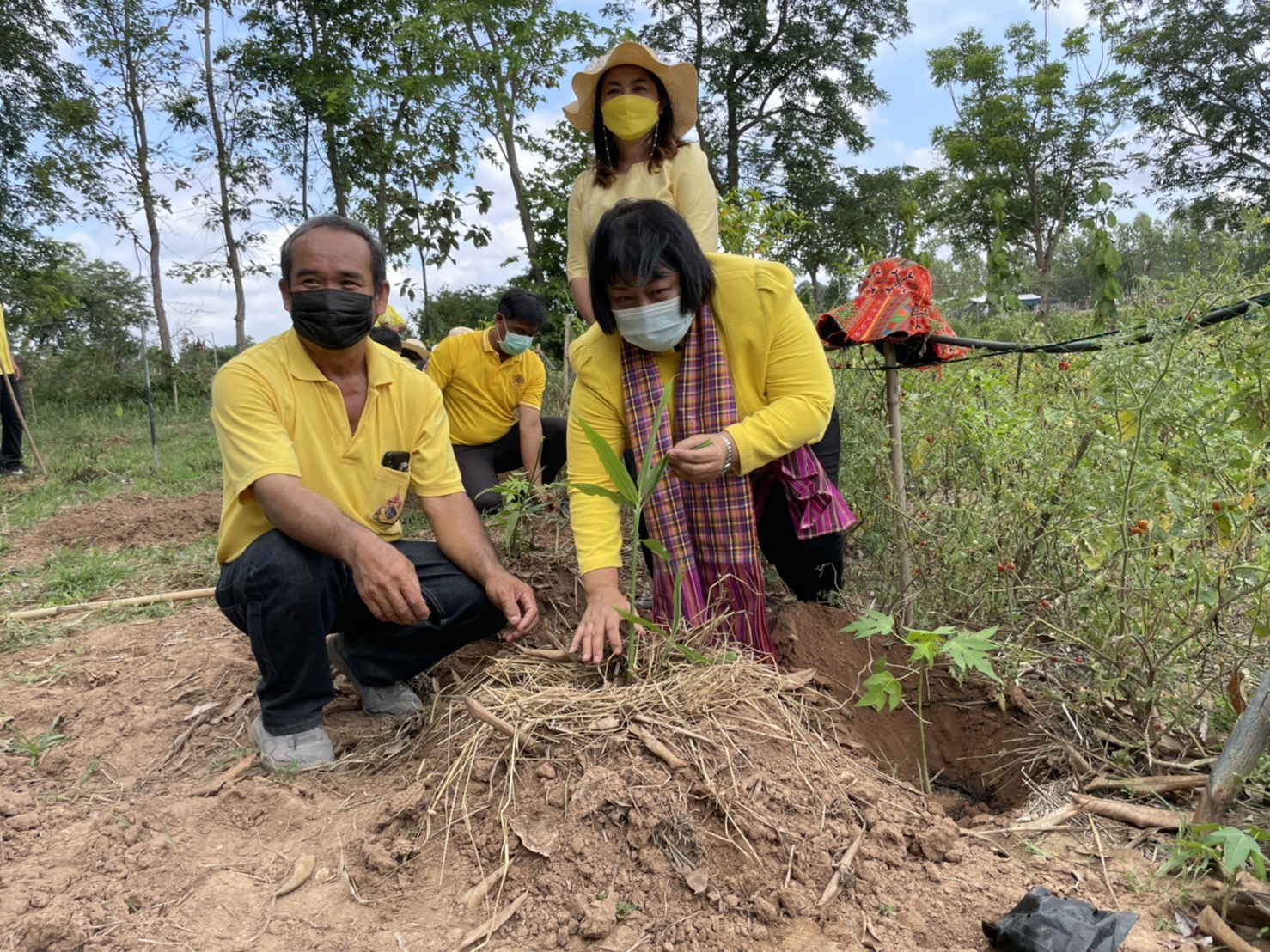 #พช_ชัยภูมิ จัดกิจกรรม “โครงการ พช.ชัยภูมิ “รวมใจไทย ปลูกต้นไม้ เพื่อแผ่นดิน” สืบสานสู่ 100 ล้านต้น เนื่องในวันต้นไม้ประจำปีของชาติ พ.ศ.2565