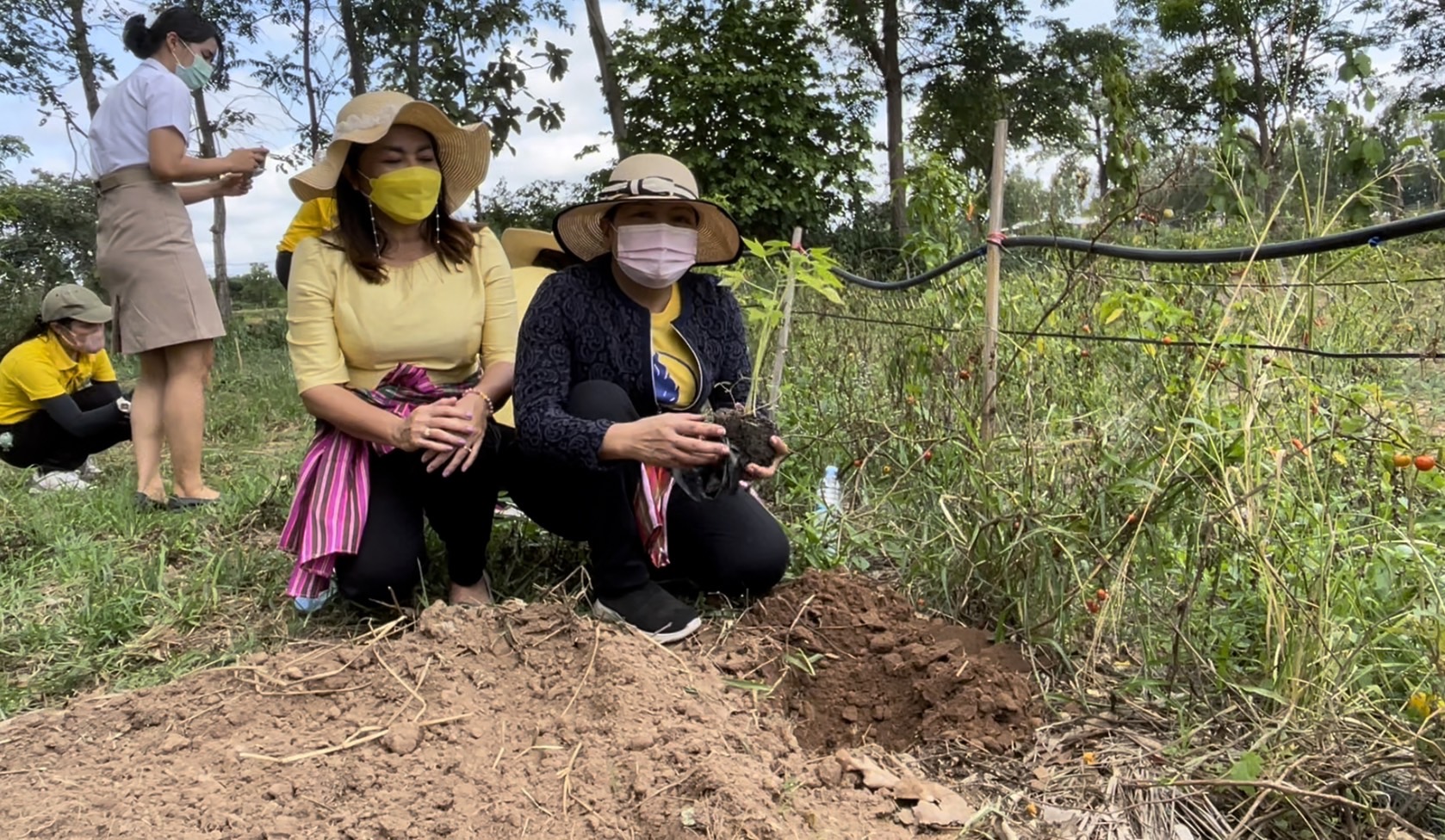 #พช_ชัยภูมิ จัดกิจกรรม “โครงการ พช.ชัยภูมิ “รวมใจไทย ปลูกต้นไม้ เพื่อแผ่นดิน” สืบสานสู่ 100 ล้านต้น เนื่องในวันต้นไม้ประจำปีของชาติ พ.ศ.2565