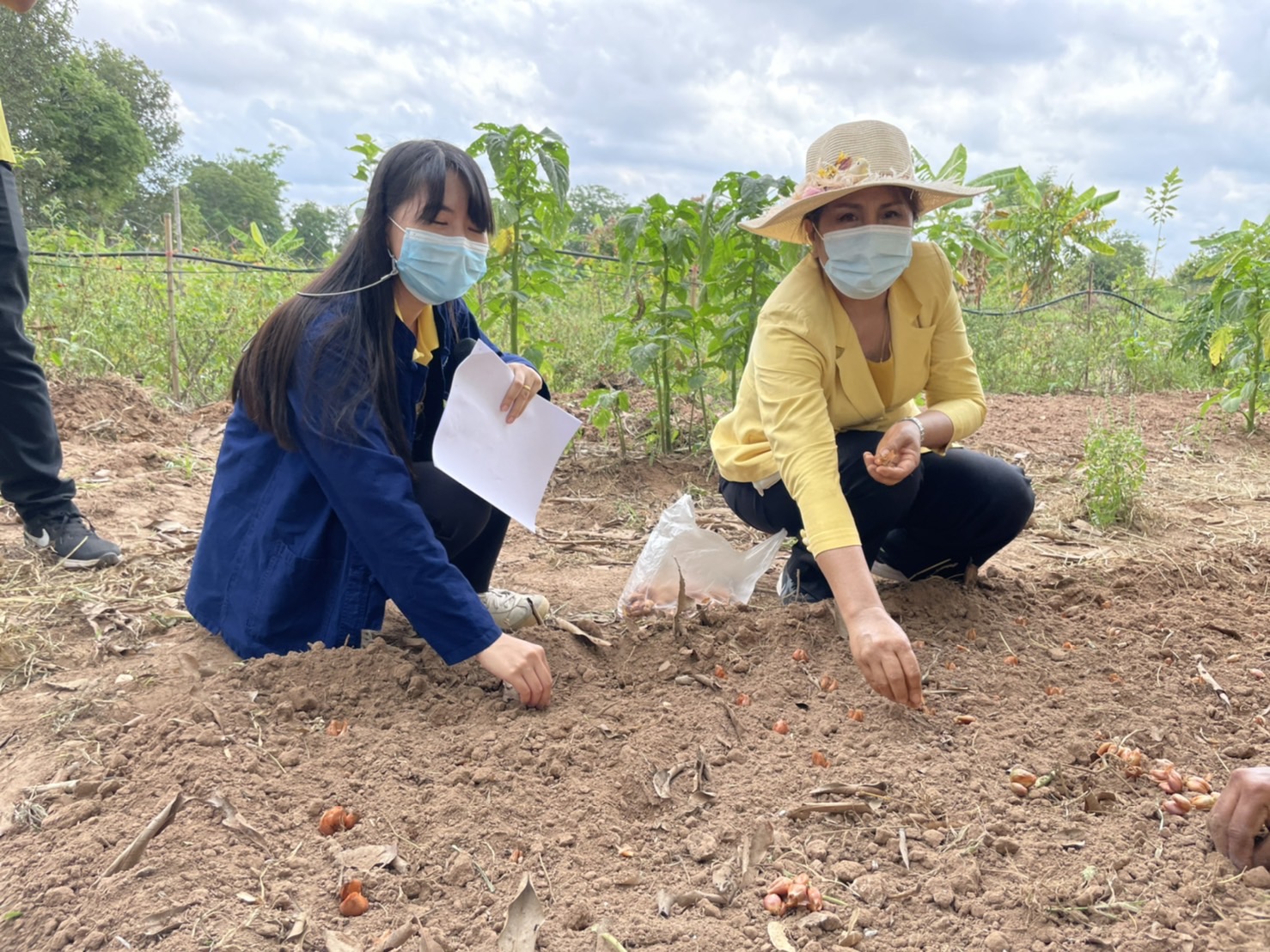 #พช_ชัยภูมิ จัดกิจกรรม “โครงการ พช.ชัยภูมิ “รวมใจไทย ปลูกต้นไม้ เพื่อแผ่นดิน” สืบสานสู่ 100 ล้านต้น เนื่องในวันต้นไม้ประจำปีของชาติ พ.ศ.2565