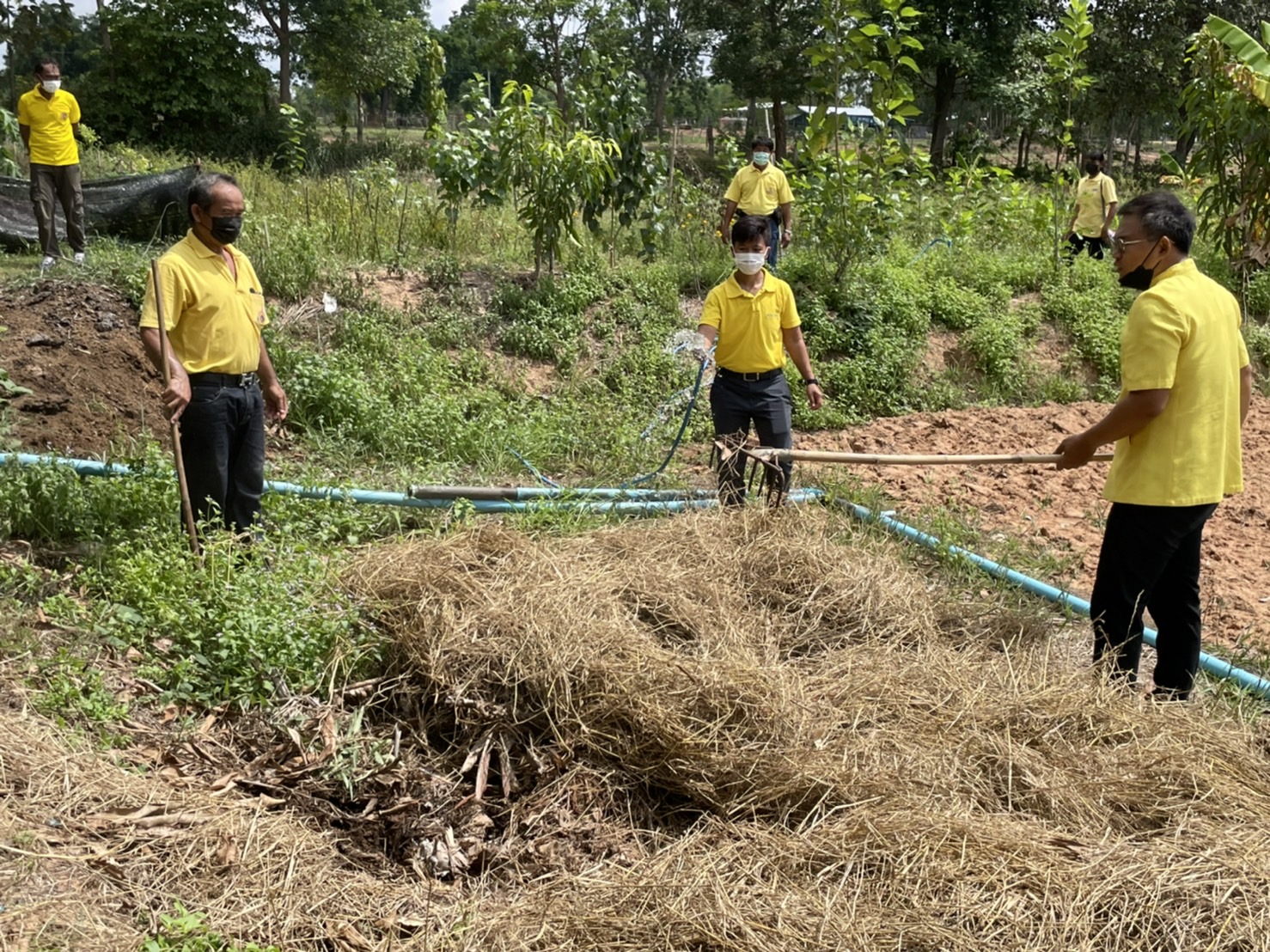 #พช_ชัยภูมิ จัดกิจกรรม “โครงการ พช.ชัยภูมิ “รวมใจไทย ปลูกต้นไม้ เพื่อแผ่นดิน” สืบสานสู่ 100 ล้านต้น เนื่องในวันต้นไม้ประจำปีของชาติ พ.ศ.2565