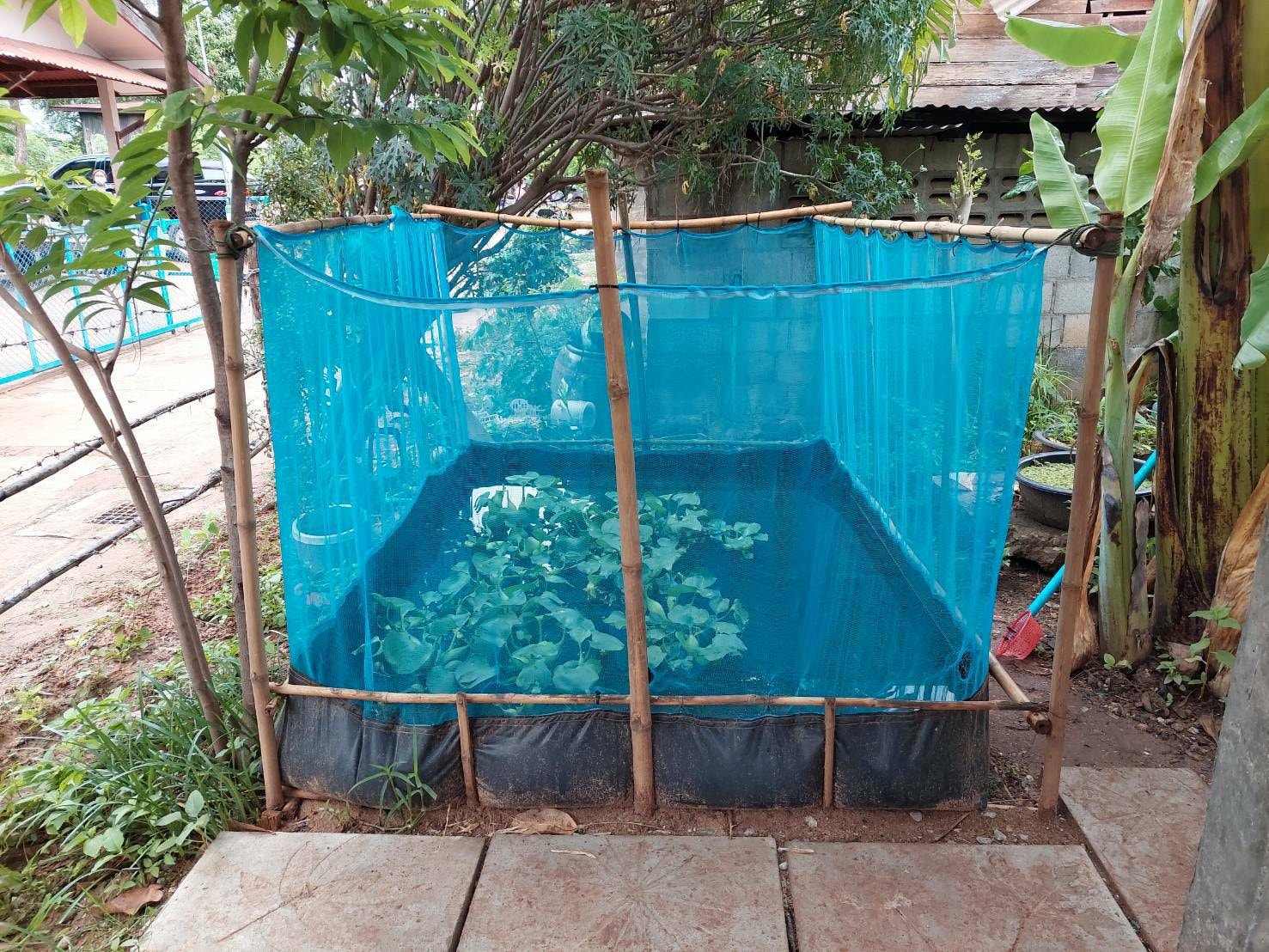 จังหวัดชัยภูมิ #ผู้ตรวจราชการกรมการพัฒนาชุมชน เขตตรวจราชการที่ 13 (นางสงวน มะเสนา) ลงพื้นที่ร่วมติดตามการดำเนินงานการขจัดความยากจนและพัฒนาคนทุกช่วงวัยฯ “1 อำเภอ 1 Case study ” อำเภอแก้งคร้อ