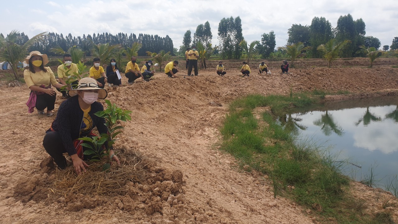 #พช_ชัยภูมิ จัดกิจกรรม “โครงการ พช.ชัยภูมิ “รวมใจไทย ปลูกต้นไม้ เพื่อแผ่นดิน” สืบสานสู่ 100 ล้านต้น เนื่องในวันต้นไม้ประจำปีของชาติ พ.ศ.2565