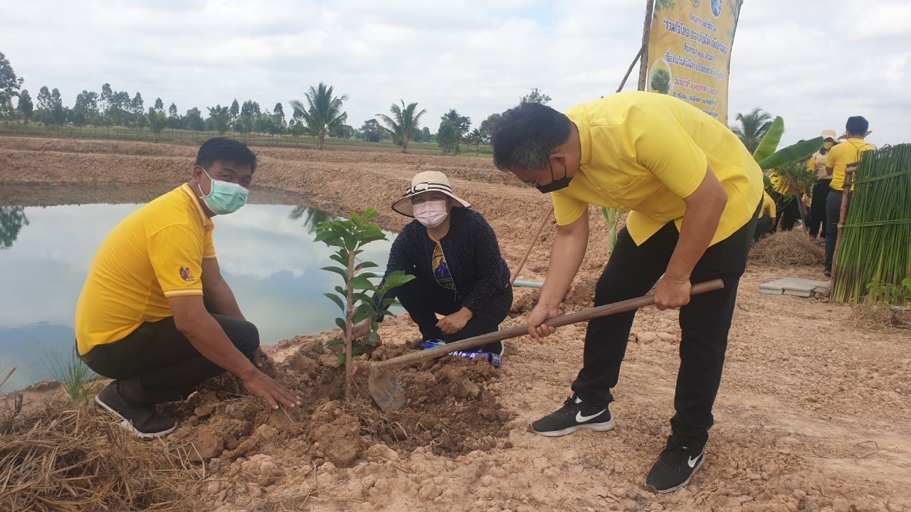 #พช_ชัยภูมิ จัดกิจกรรม “โครงการ พช.ชัยภูมิ “รวมใจไทย ปลูกต้นไม้ เพื่อแผ่นดิน” สืบสานสู่ 100 ล้านต้น เนื่องในวันต้นไม้ประจำปีของชาติ พ.ศ.2565