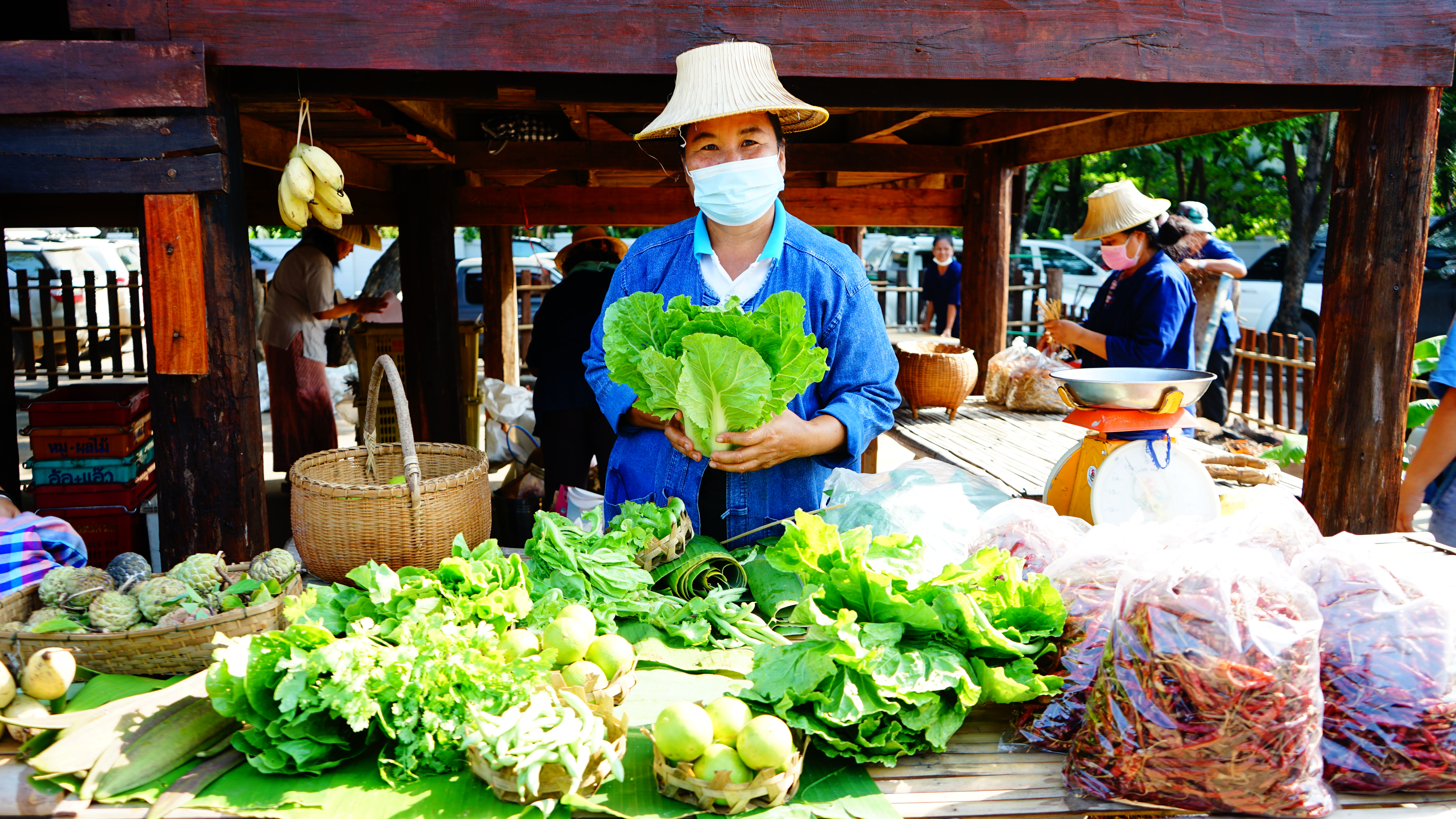 #พช_ชัยภูมิ ร่วมพิธีเปิดงานเทศกาล “ผลไม้ชัยภูมิ” ???