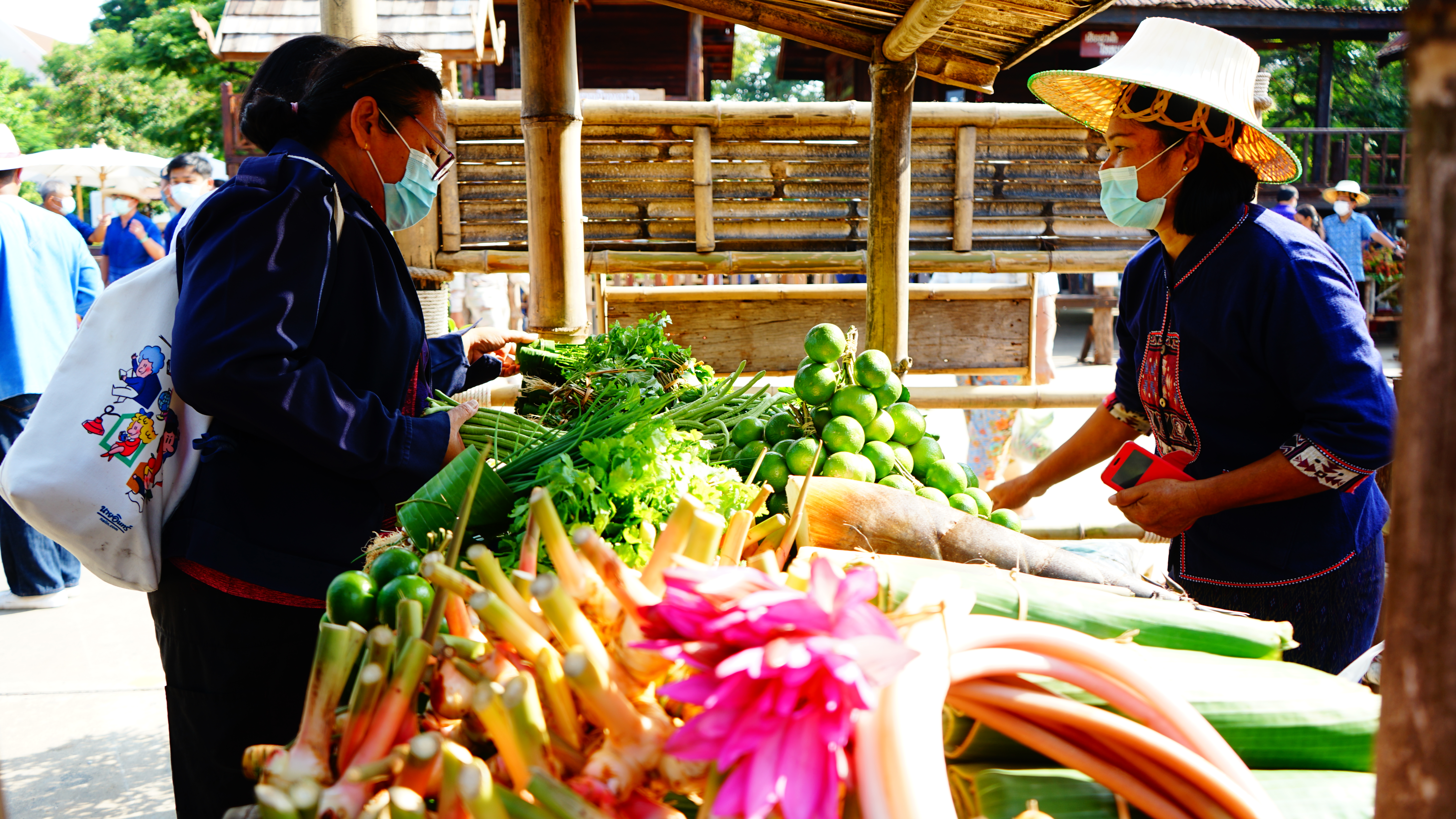 #พช_ชัยภูมิ ร่วมพิธีเปิดงานเทศกาล “ผลไม้ชัยภูมิ” ???