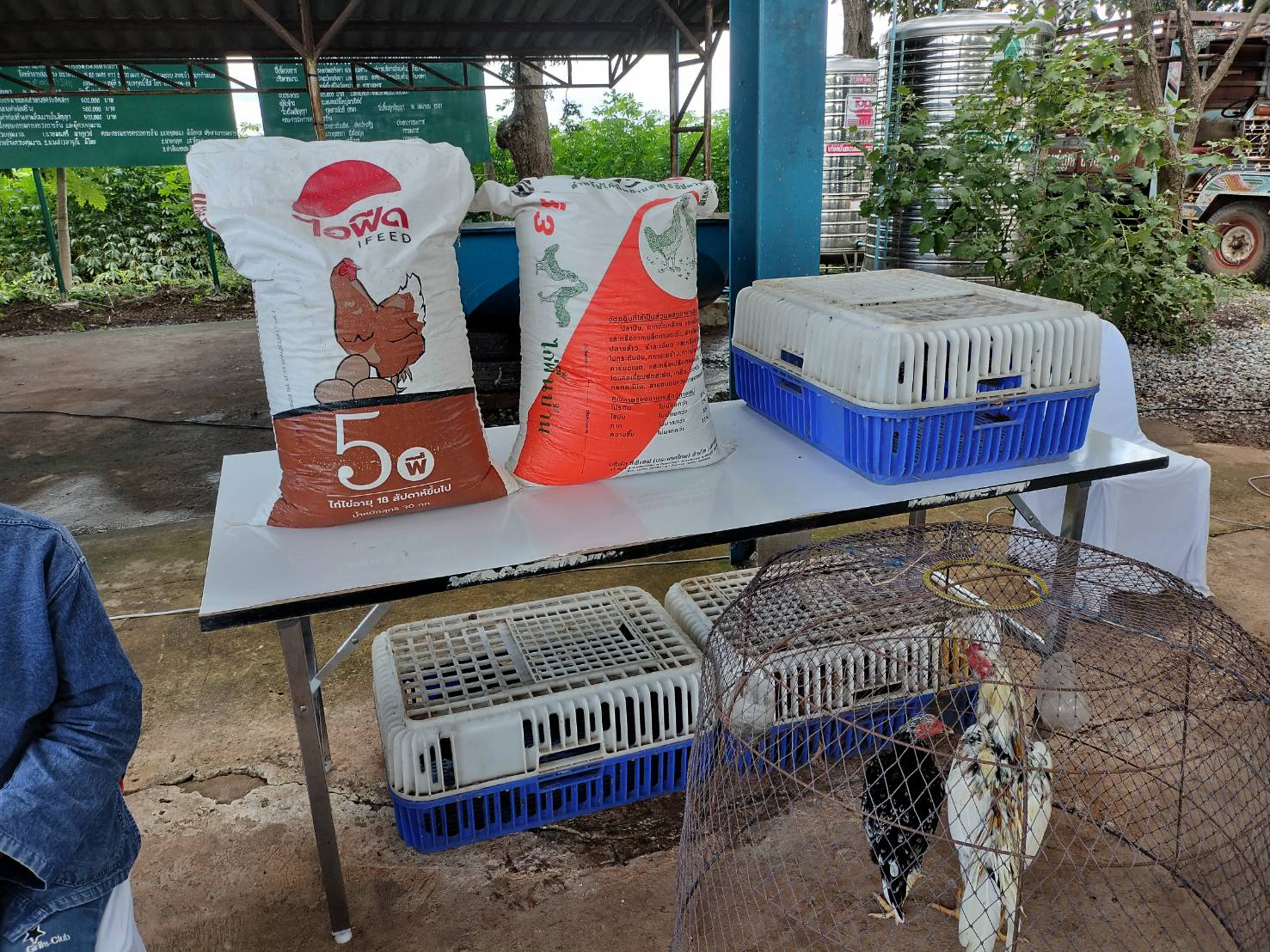 #พช_ชัยภูมิ ร่วมกิจกรรมการสนับสนุนและตรวจติดตามการดำเนินงาน 1 ครัวเรือน 1 ตำบล ต้นแบบ และมอบเงินสนับสนุนจากกองทุนถวายช้างแด่เจ้าพ่อพญาแลเพื่อใช้ในการขับเคลื่อนนโยบายการขจัดความยากจนและพัฒนาคนทุกช่วงวัยอย่างยั่งยืนตามหลักปรัชญาของเศรษฐกิจพอเพียงในพื้นที่อำเภอจัตุรัส