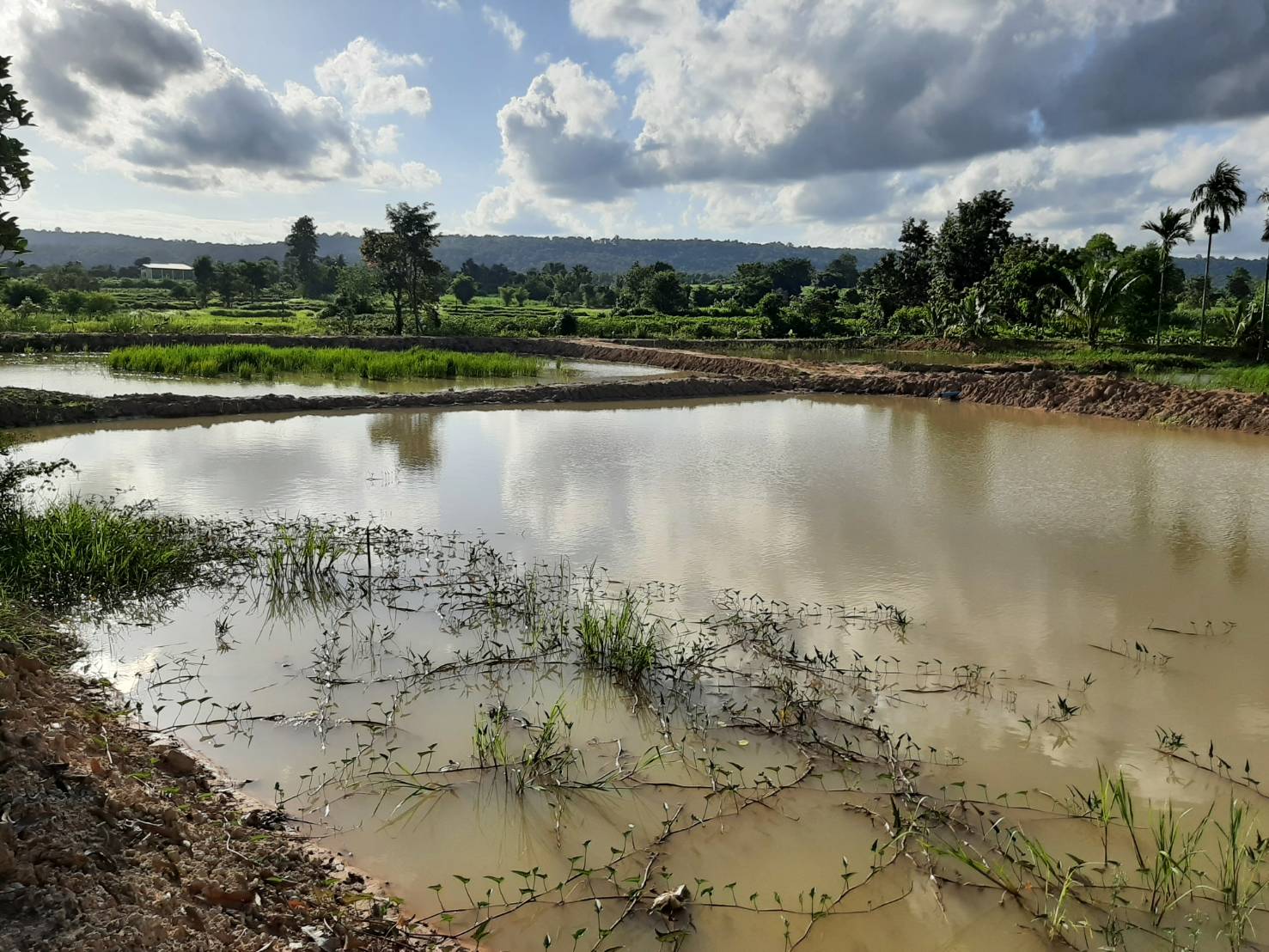 #พช_ชัยภูมิ ติดตามความก้าวหน้าการดำเนินกิจกรรมพัฒนาชุมชนจังหวัดชัยภูมิ ปีงบประมาณ 2565 อำเภอเทพสถิต