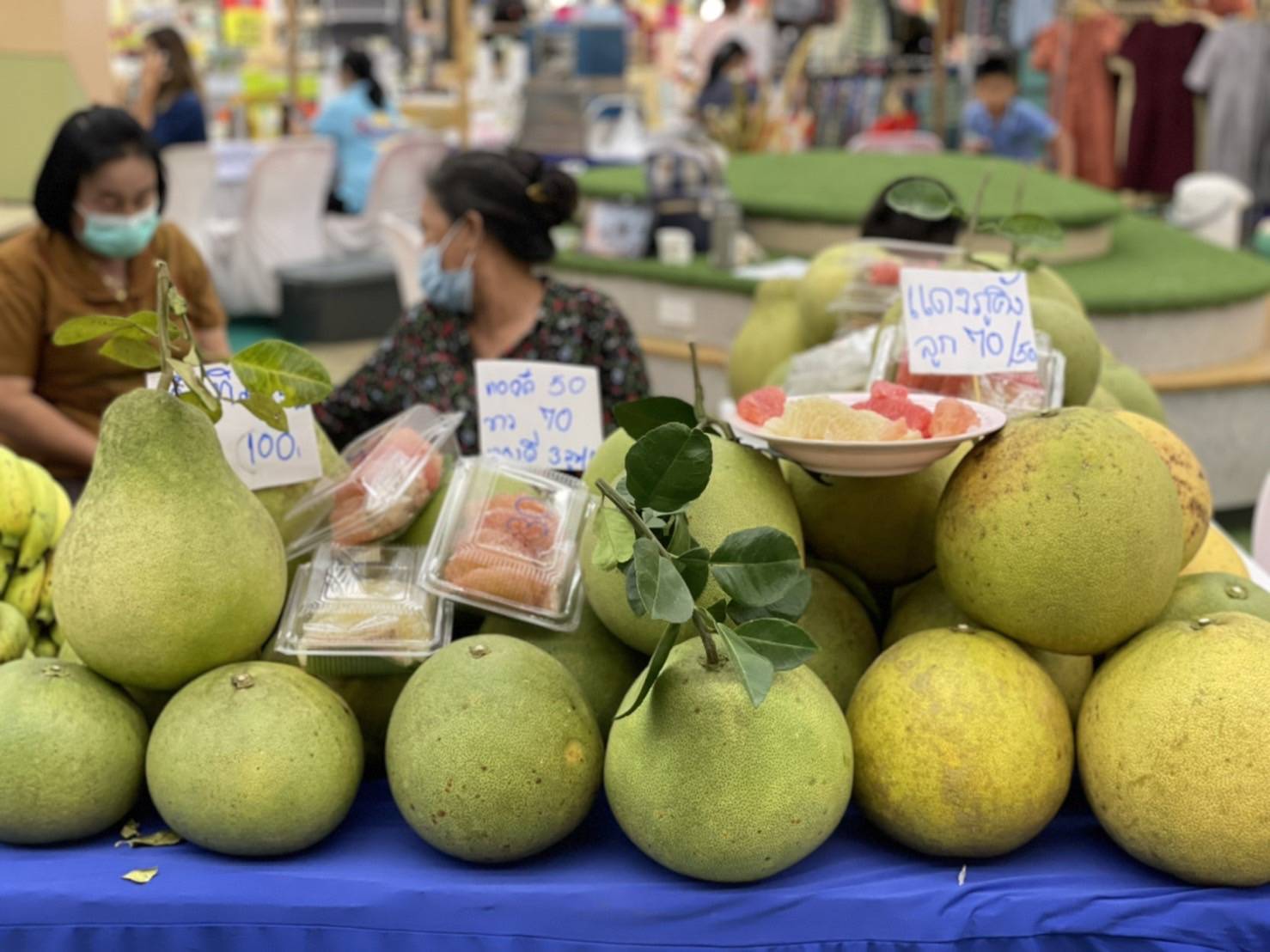 #พช_ชัยภูมิ จัดงาน “สุขกาย ซำบายใจ ด้วยอาหารปลอดภัยชัยภูมิ” กิจกรรมเชื่อมโยงช่องทางการตลาดในการสร้างรายได้จากกิจการอาหารปลอดภัย