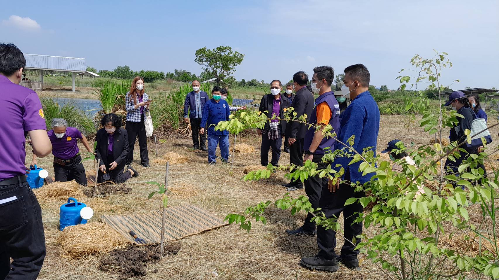 #พช_ชัยภูมิ ร่วมกิจกรรมโครงการสมาชิกวุฒิสภาพบประชาชนในพื้นที่จังหวัดภาคตะวันออกเฉียงเหนือ(ตอนล่าง) ในพื้นที่ อ.จัตุรัส จังหวัดชัยภูมิ