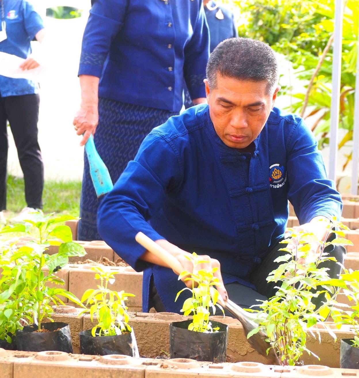 #พช_ชัยภูมิ เดินหน้าขับเคลื่อนกิจกรรม “ปลูกผักสวนครัว เพื่อสร้างความมั่นคงทางอาหาร” ตามแนวพระราชดำริของสมเด็จพระกนิษฐาธิราชเจ้า กรมสมเด็จพระเทพรัตนราชสุดาฯ สยามบรมราชกุมารี ณ จวนผู้ว่าราชการจังหวัดชัยภูมิ
