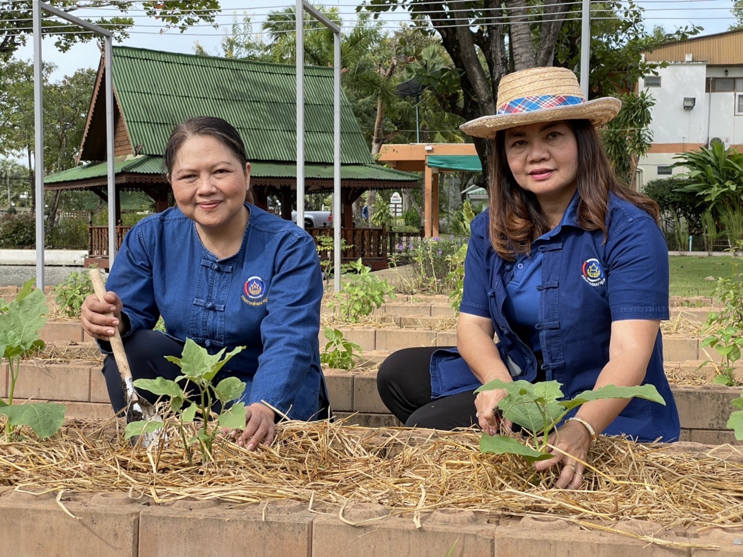 #พช_ชัยภูมิ เดินหน้าขับเคลื่อนกิจกรรม “ปลูกผักสวนครัว เพื่อสร้างความมั่นคงทางอาหาร” ตามแนวพระราชดำริของสมเด็จพระกนิษฐาธิราชเจ้า กรมสมเด็จพระเทพรัตนราชสุดาฯ สยามบรมราชกุมารี ณ จวนผู้ว่าราชการจังหวัดชัยภูมิ