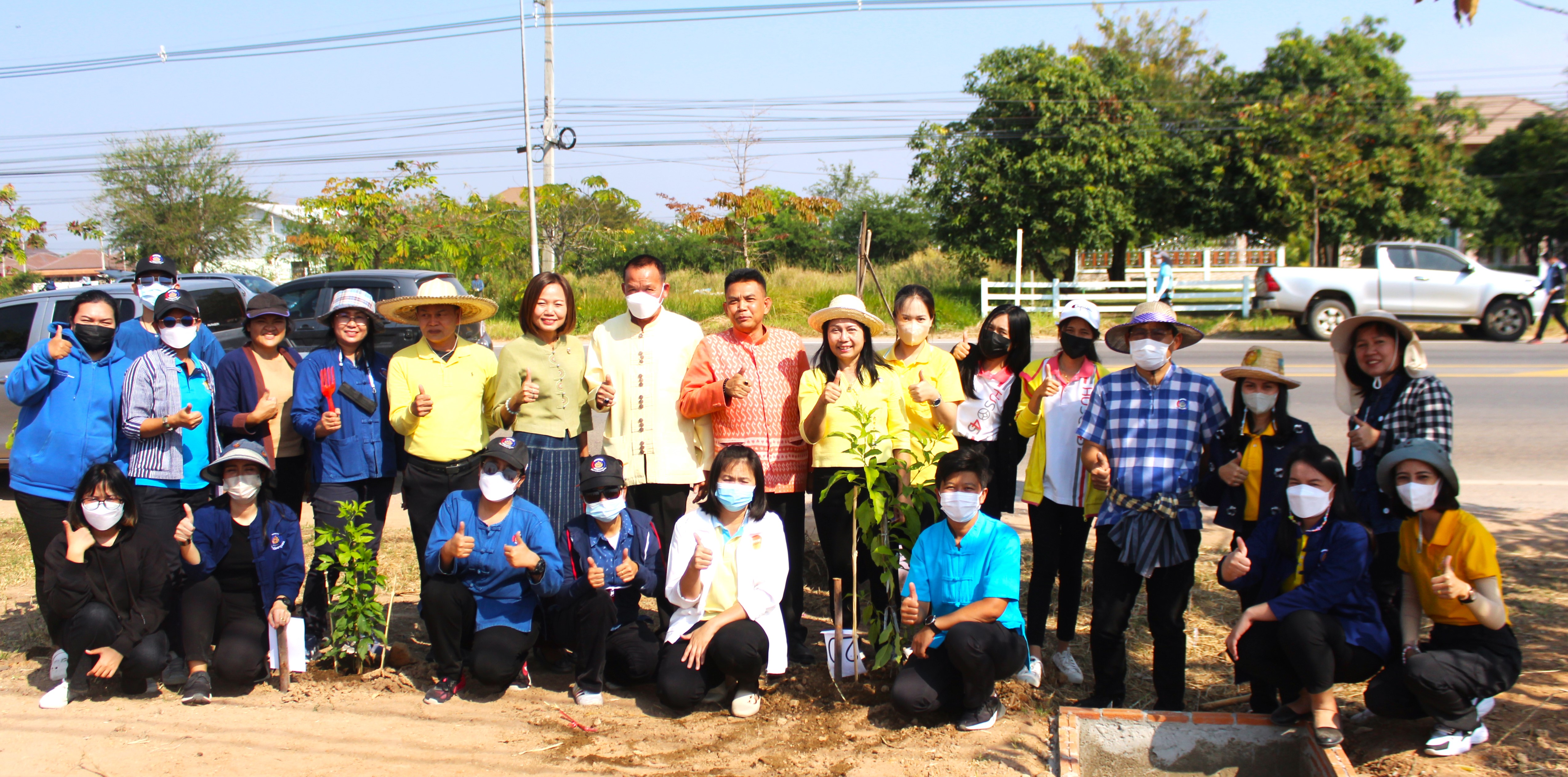 #พช_ชย ร่วมกิจกรรมปลูกต้นไม้ (ต้นทองอุไร) ในพื้นที่โครงการ 1 จังหวัด 1 ถนนเฉลิมพระเกียรติ เนื่องในโอกาสมหามงคลพระราชพิธีบรมราชาภิเษก พ.ศ.2562 บริเวณริมถนนสายชัยภูมิ – ตาดโตน