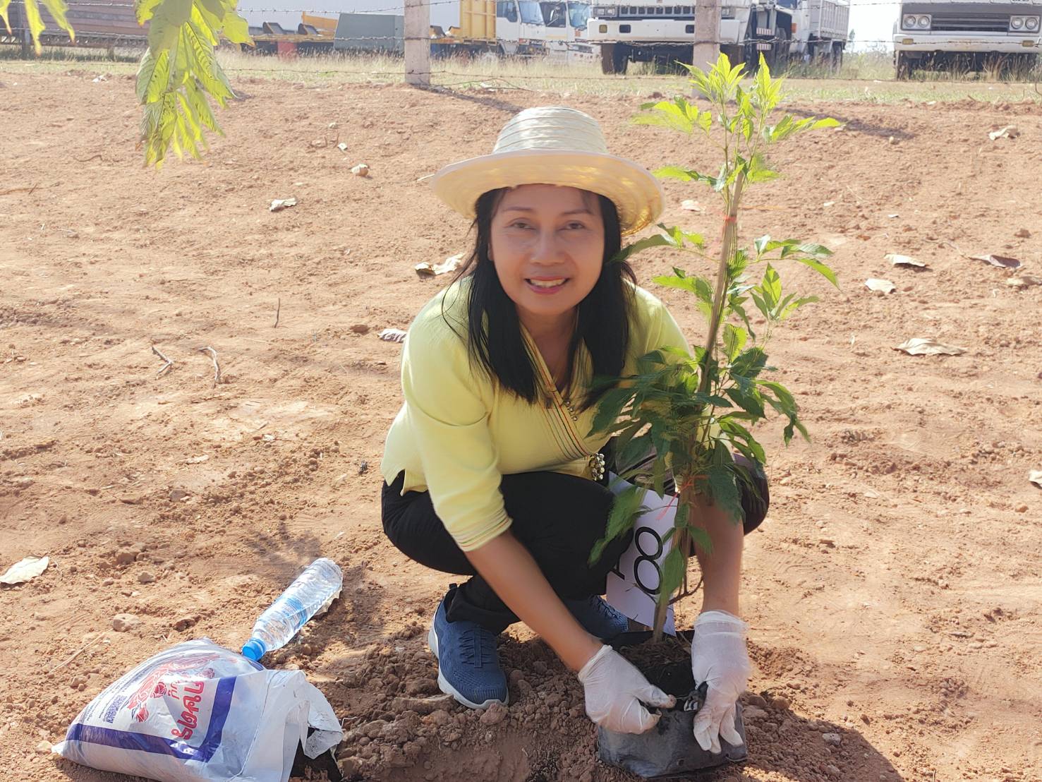 #พช_ชย ร่วมกิจกรรมปลูกต้นไม้ (ต้นทองอุไร) ในพื้นที่โครงการ 1 จังหวัด 1 ถนนเฉลิมพระเกียรติ เนื่องในโอกาสมหามงคลพระราชพิธีบรมราชาภิเษก พ.ศ.2562 บริเวณริมถนนสายชัยภูมิ – ตาดโตน