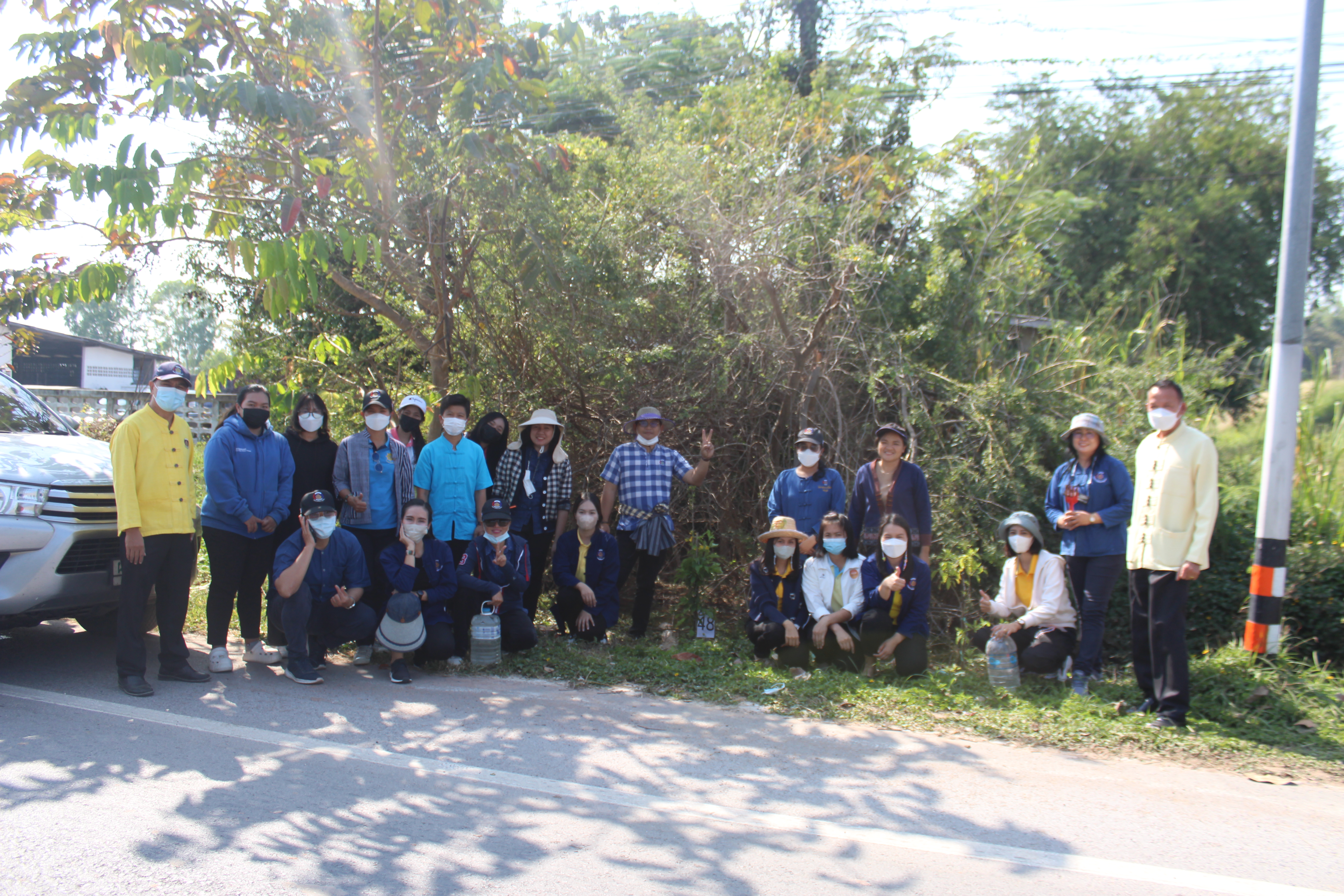 #พช_ชย ร่วมกิจกรรมปลูกต้นไม้ (ต้นทองอุไร) ในพื้นที่โครงการ 1 จังหวัด 1 ถนนเฉลิมพระเกียรติ เนื่องในโอกาสมหามงคลพระราชพิธีบรมราชาภิเษก พ.ศ.2562 บริเวณริมถนนสายชัยภูมิ – ตาดโตน
