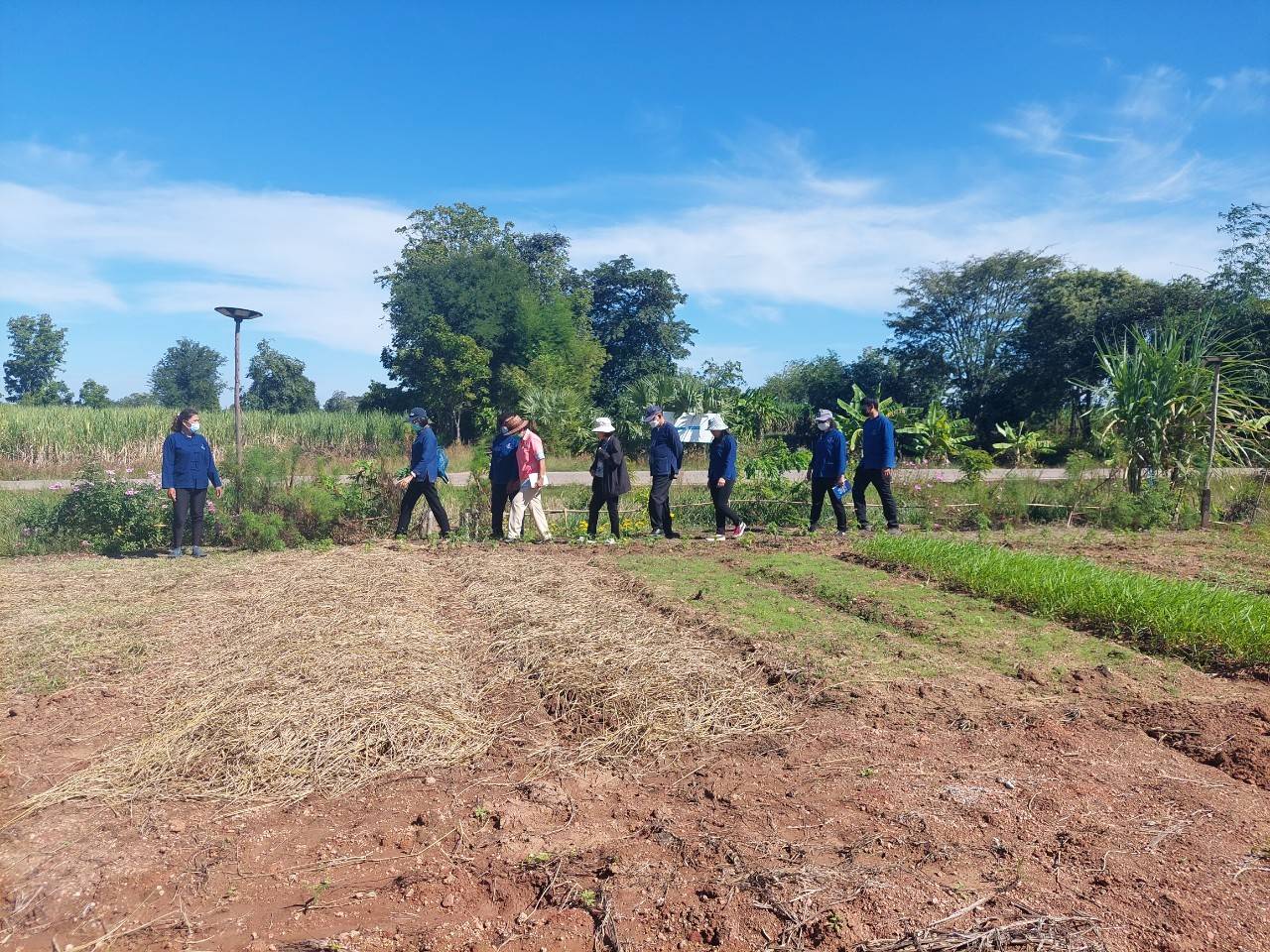 #พช_ชัยภูมิ รับการตรวจติดตาม “นางสงวน มะเสนา ผู้ตรวจราชการกรมการพัฒนาชุมชน เขตตรวจราชการที่ 13” ลงพื้นที่เยี่ยมเยียนหมู่บ้านเศรษฐกิจพอเพียง (พัฒนาศูนย์เรียนรู้ทฤษฎีใหม่รูปแบบ “โคก หนอง นา”) อำเภอจัตุรัส