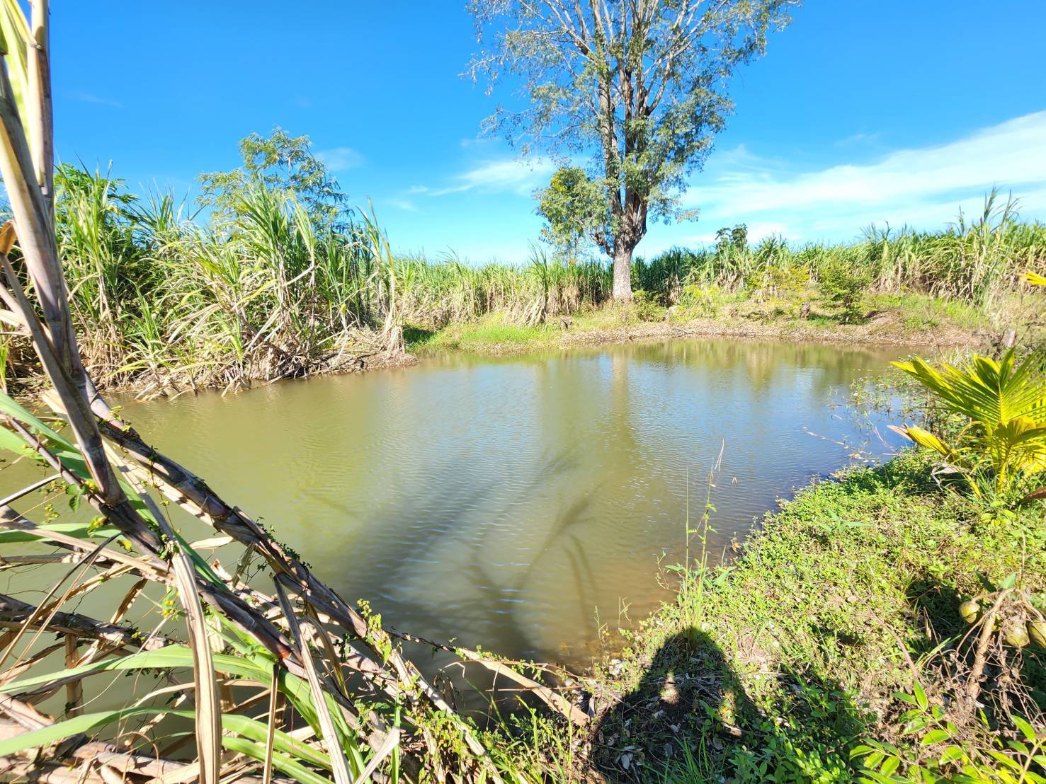 #พช_ชัยภูมิ รับการตรวจติดตาม “นางสงวน มะเสนา ผู้ตรวจราชการกรมการพัฒนาชุมชน เขตตรวจราชการที่ 13” ลงพื้นที่เยี่ยมเยียนหมู่บ้านเศรษฐกิจพอเพียง (พัฒนาศูนย์เรียนรู้ทฤษฎีใหม่รูปแบบ “โคก หนอง นา”) อำเภอจัตุรัส