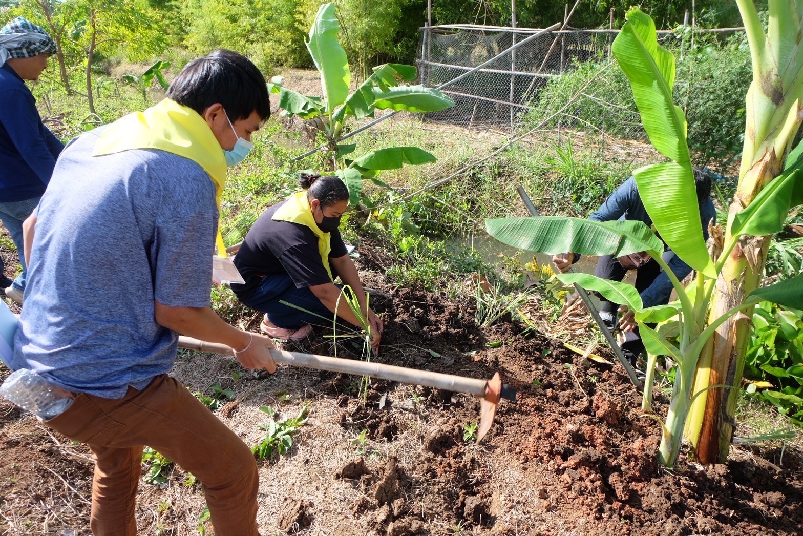 #พช_ชัยภูมิ จัดกิจกรรม “วันดินโลก” (World Soil Day) ปี 2565 “Great food from good soil for better life awareness week” ดินดี อาหารดี สุขภาพดี ชีวีมีสุข