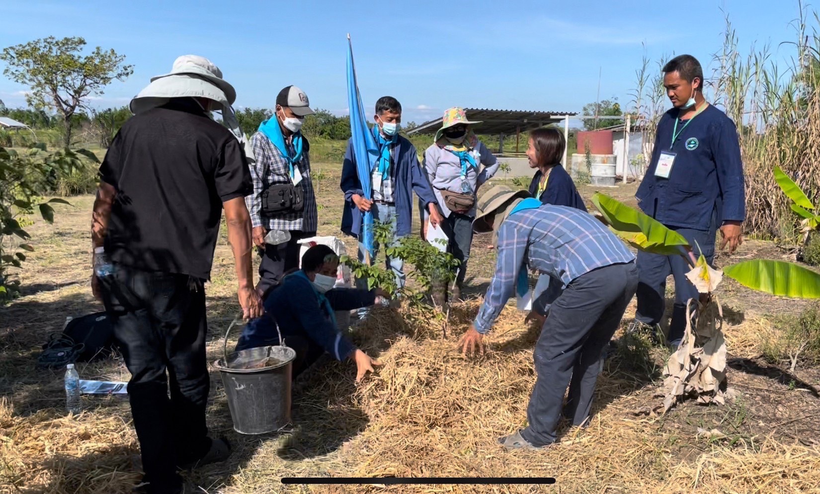 #พช_ชัยภูมิ จัดกิจกรรม “วันดินโลก” (World Soil Day) ปี 2565 “Great food from good soil for better life awareness week” ดินดี อาหารดี สุขภาพดี ชีวีมีสุข