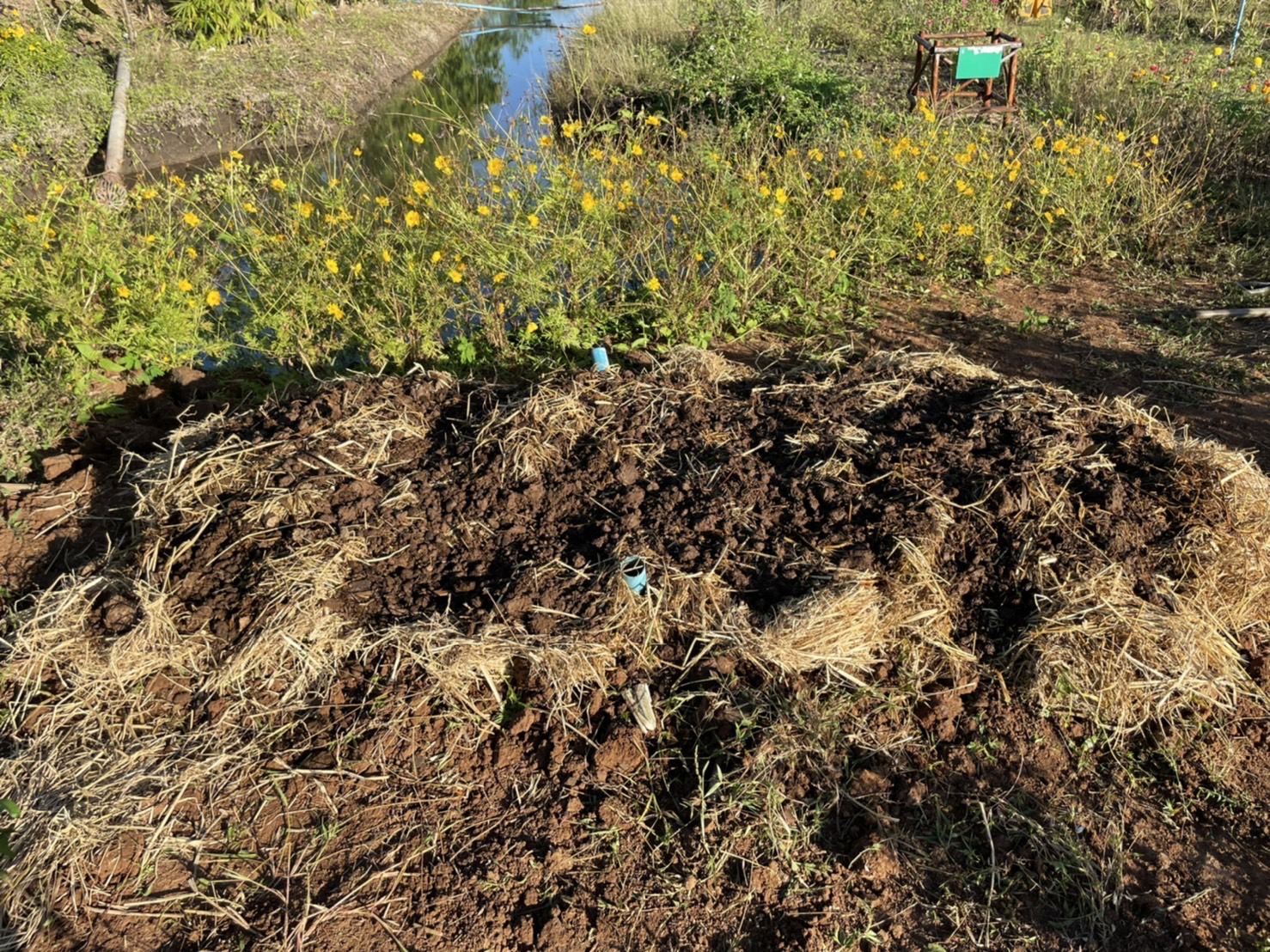 #พช_ชัยภูมิ จัดกิจกรรม “วันดินโลก” (World Soil Day) ปี 2565 “Great food from good soil for better life awareness week” ดินดี อาหารดี สุขภาพดี ชีวีมีสุข