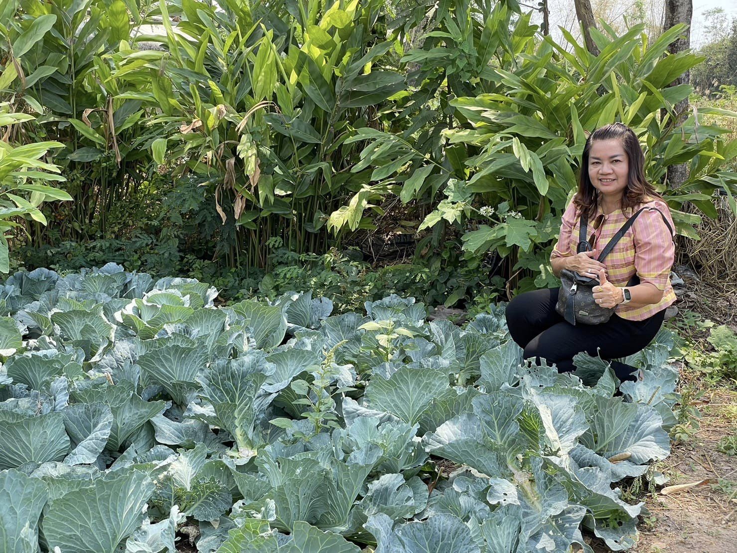 จังหวัดชัยภูมิ ติดตามการดำเนินงานการพัฒนาพื้นที่ครัวเรือนต้นแบบ โคก หนอง นา โม HLM อำเภอแก้งคร้อ