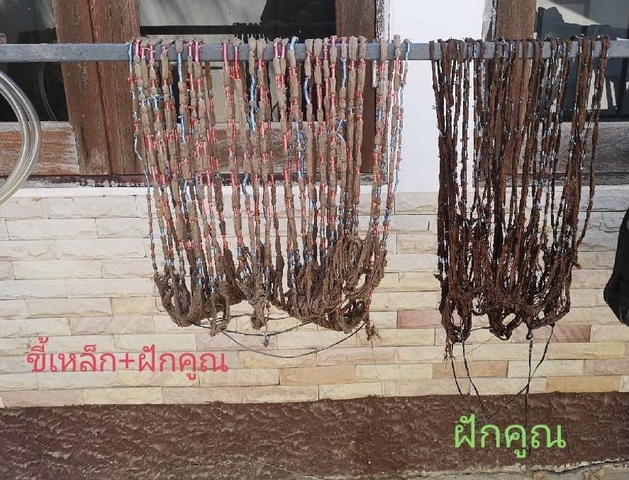 จังหวัดชัยภูมิ ส่งเสริมการพัฒนาทักษะ/เทคนิคการย้อมสีธรรมชาติ