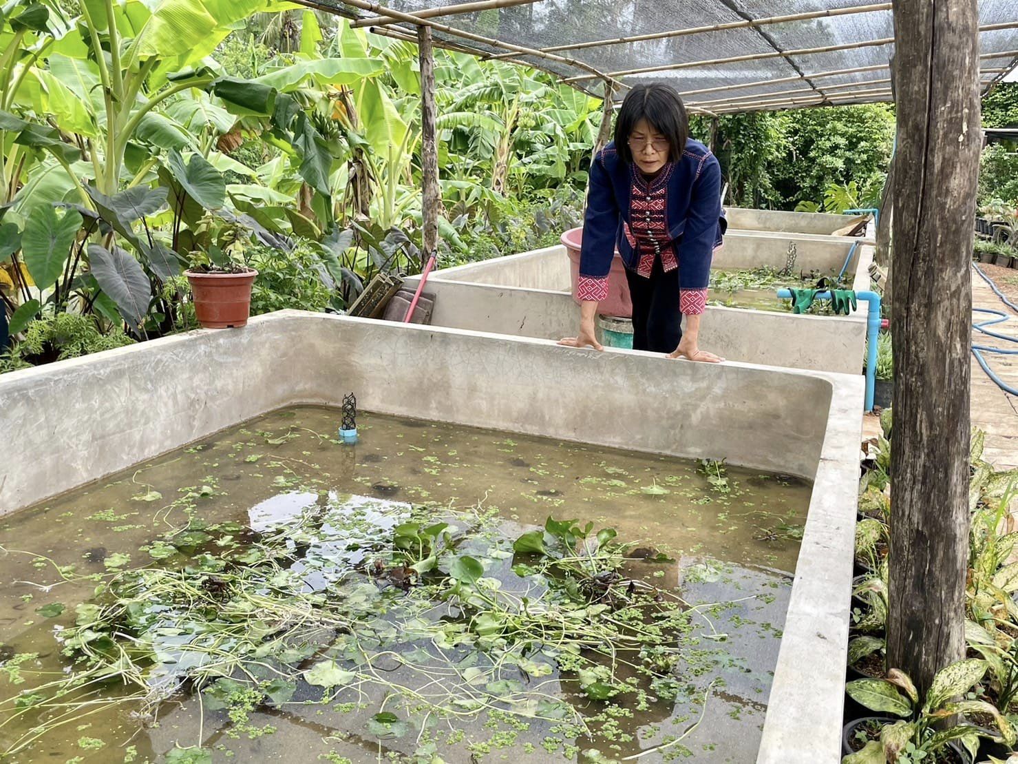 พช._ชัยภูมิ นางสงวน มะเสนา ผู้ตรวจราชการกรมการพัฒนาชุมชน ตรวจติดตามผลการขับเคลื่อนงานพัฒนาชุมชนในพื้นที่อำเภอคอนสาร จังหวัดชัยภูมิ