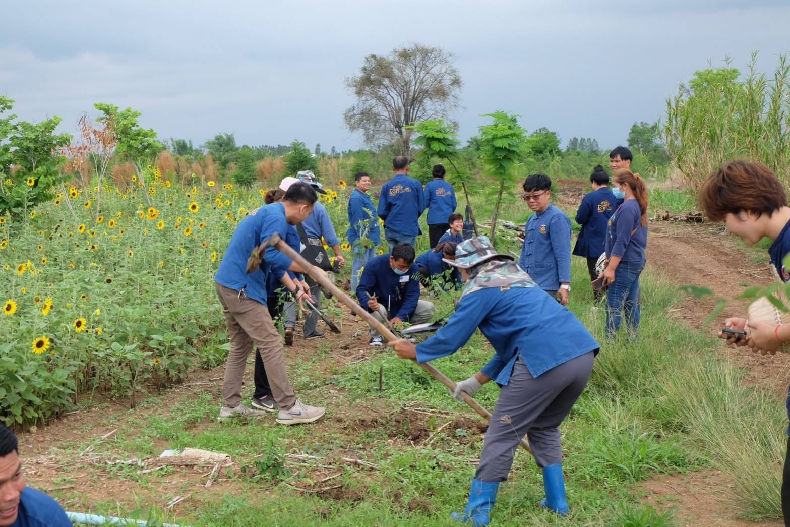 พช_ชัยภูมิ ขับเคลื่อนกิจกรรม “รวมพลคน โคก หนอง นา เอามื้อสามัคคี” จังหวัดชัยภูมิ